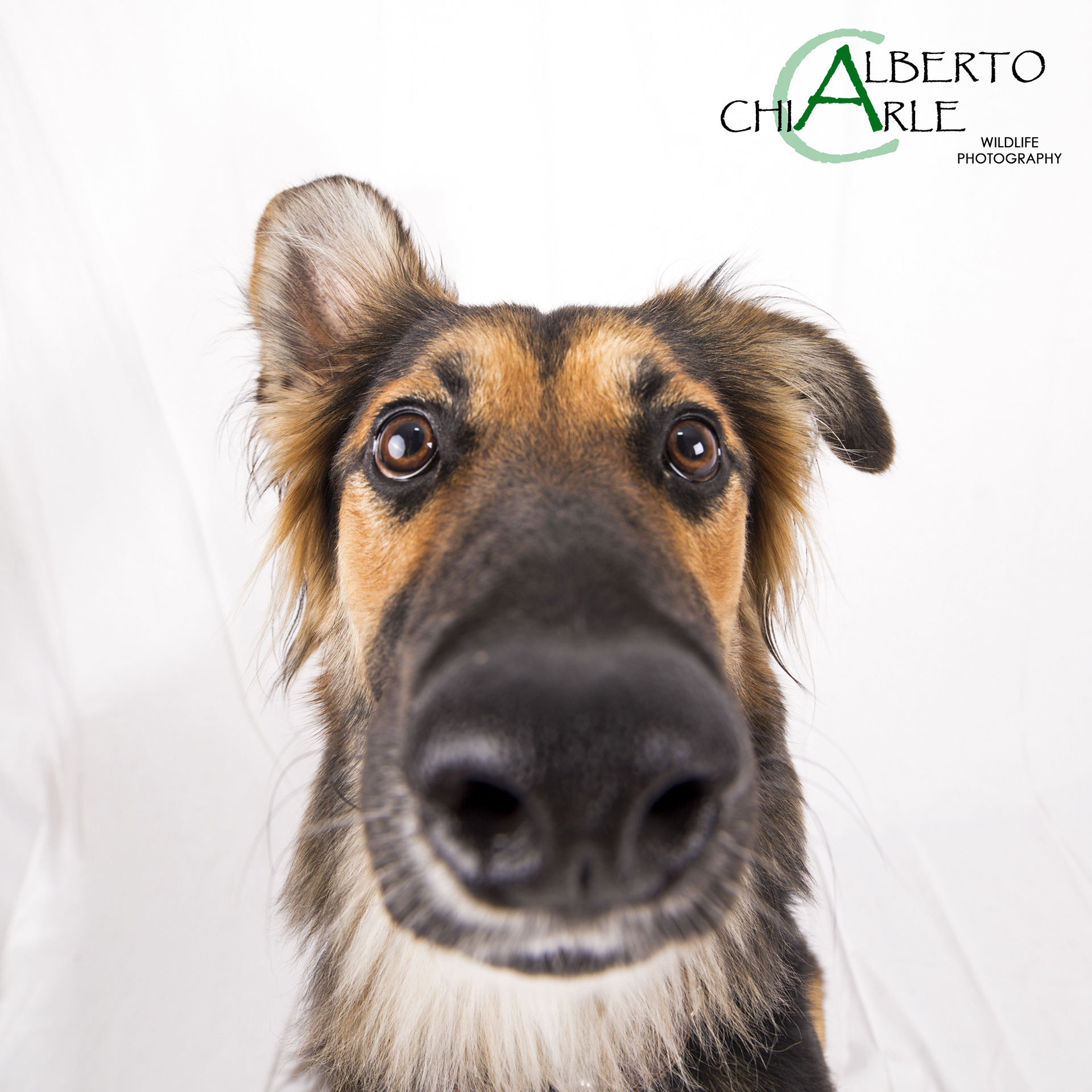 Incontri ravvicinati del terzo tipo