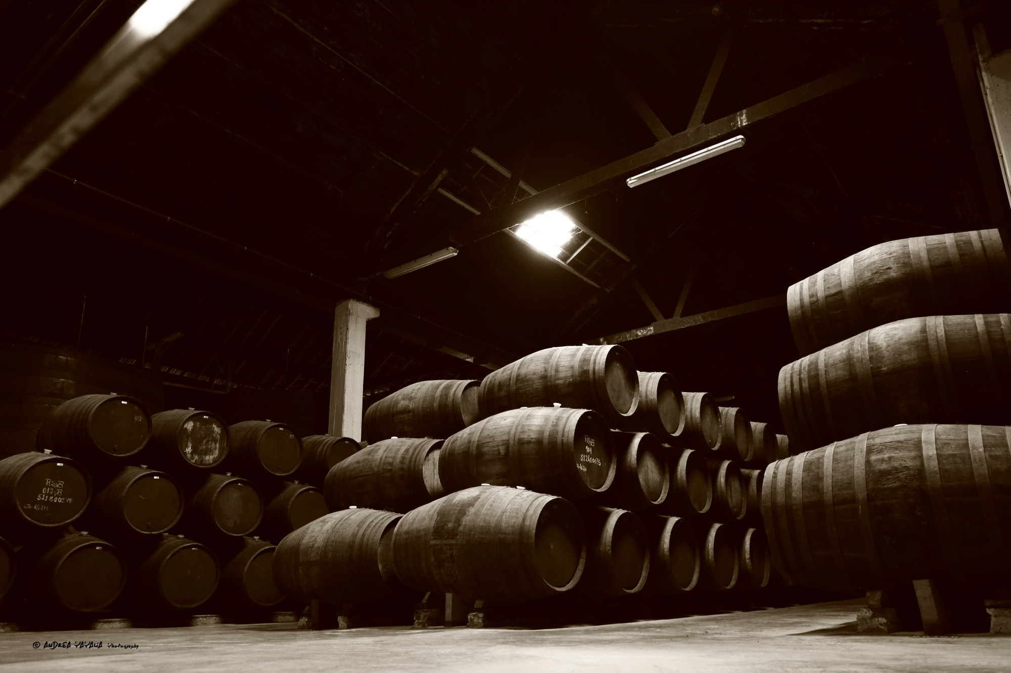 Porto che invecchia... per diventare "divino"