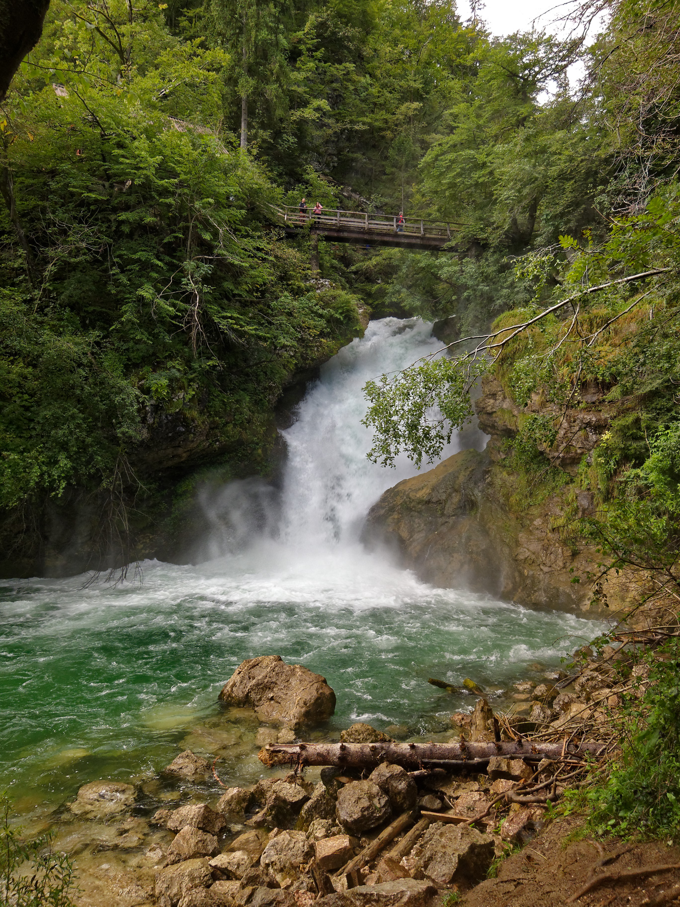 Cascata nella gola del Vintgar - Slovenia Bled