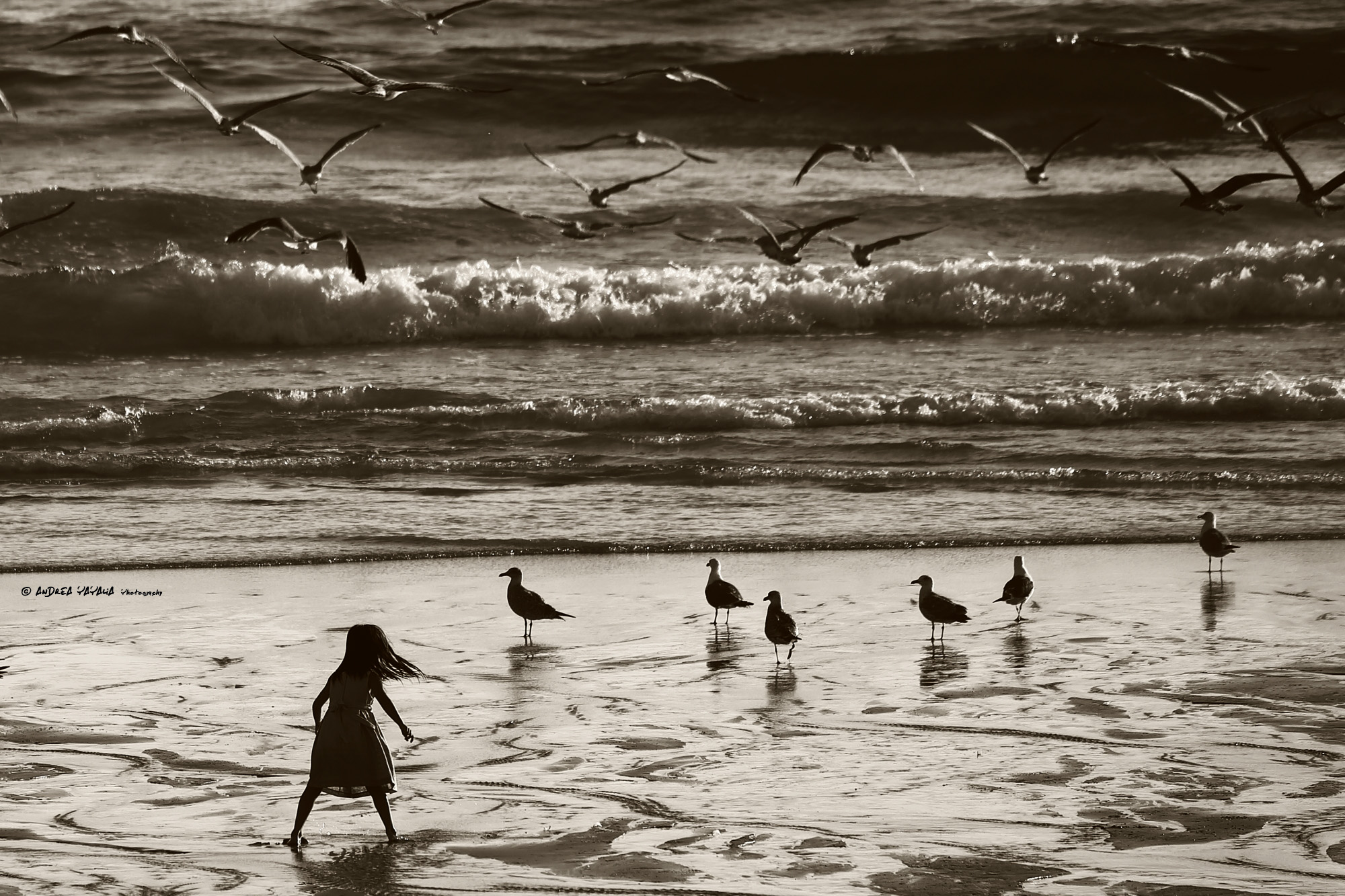 L'insegnante di volo