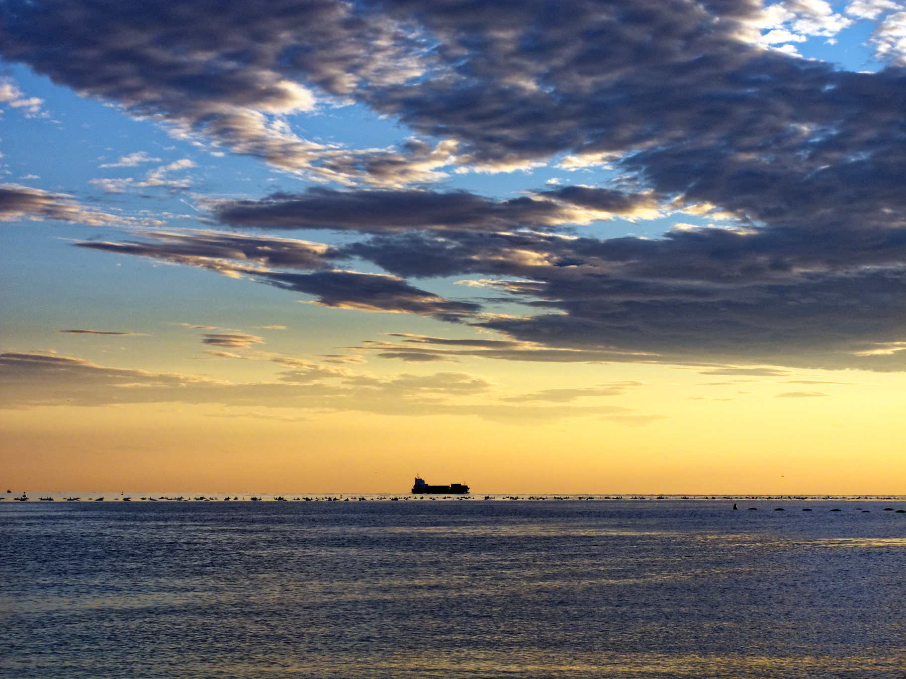 Fin che la barca va...