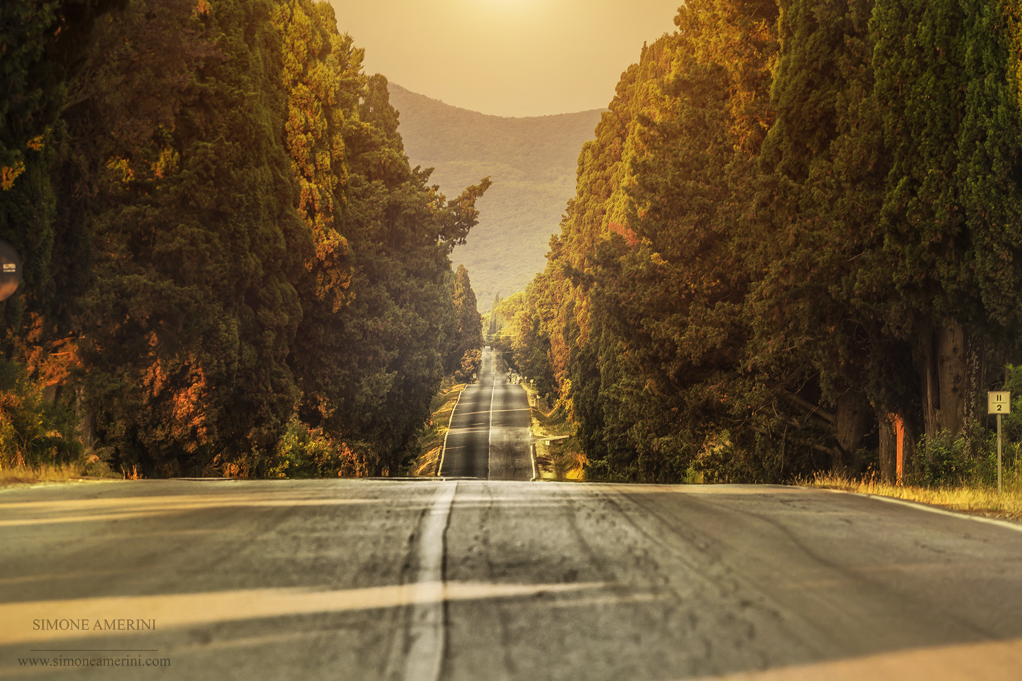Towards Bolgheri, at sunset.