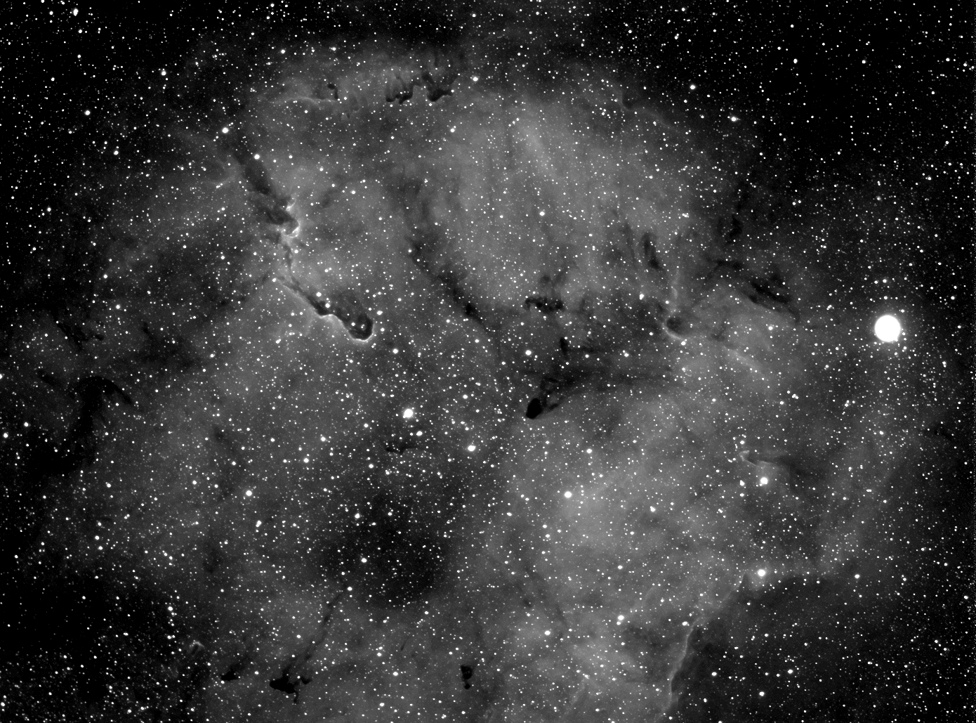 Nebula IC 1396