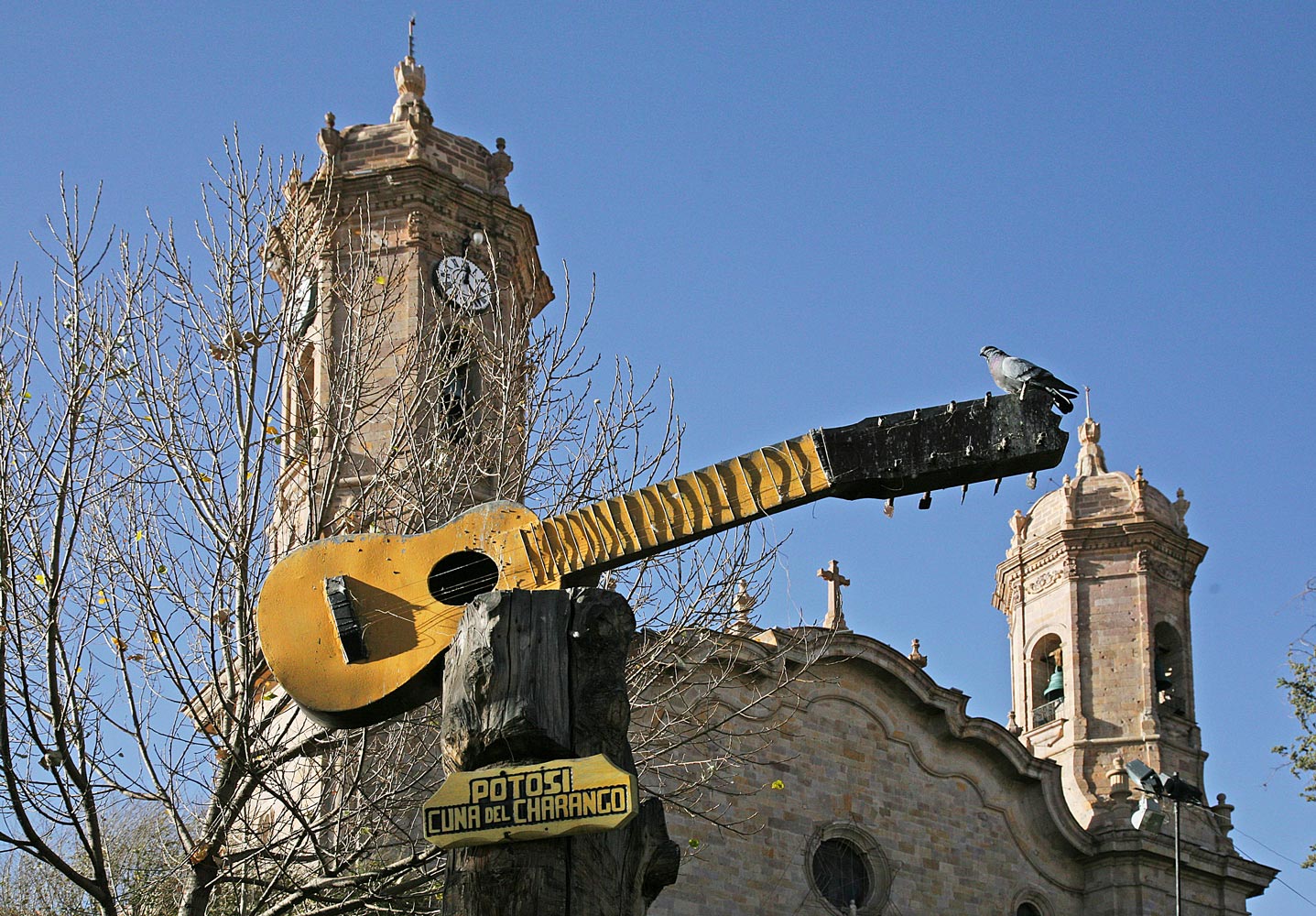 Il piccione suonatore