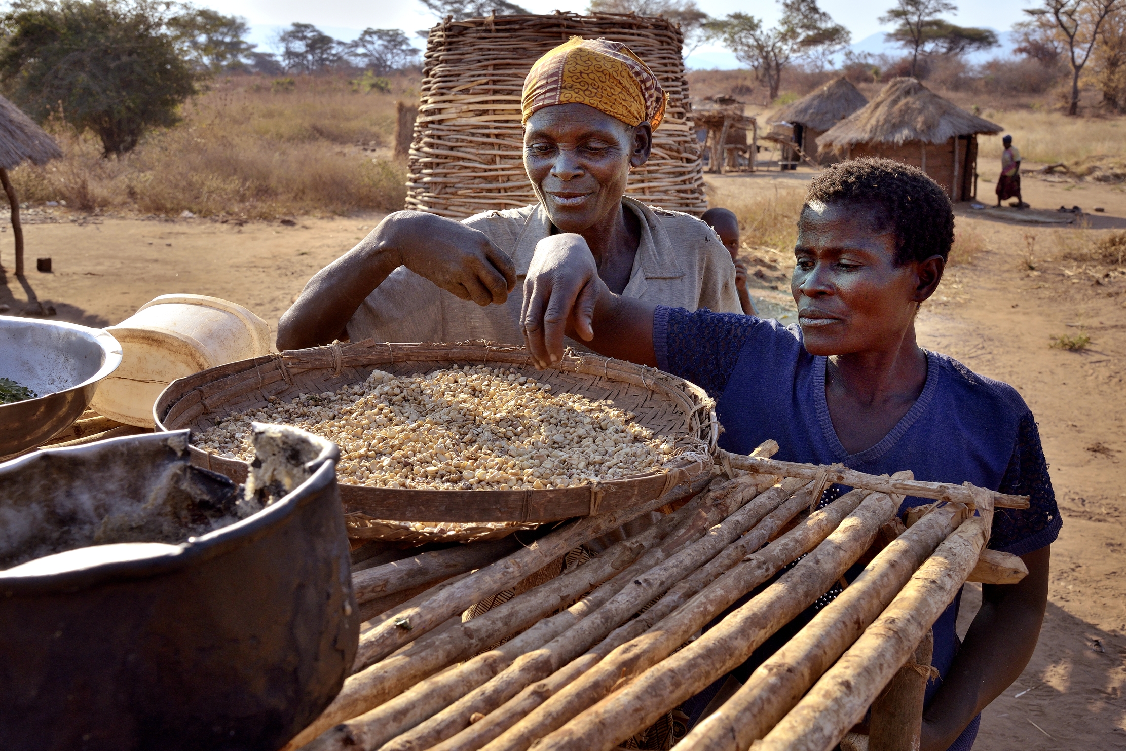 Zambia 2015 - In un villaggio del Lower Zambesi