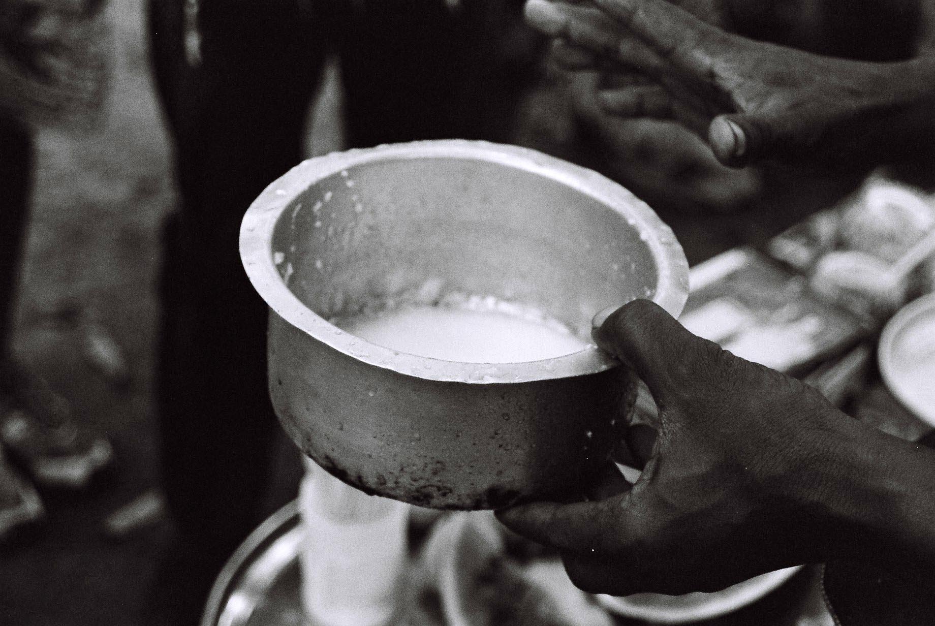 Cucinare il latte di cocco