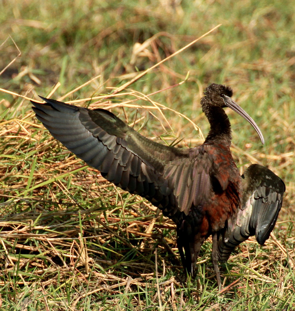 Beyond right straight