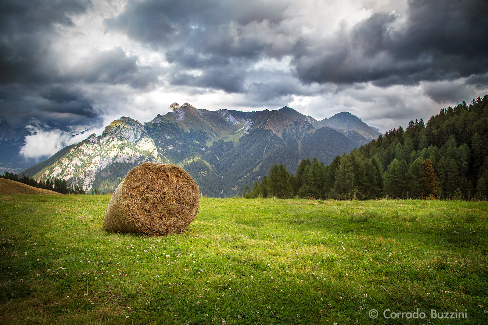 Landscape Trentino
