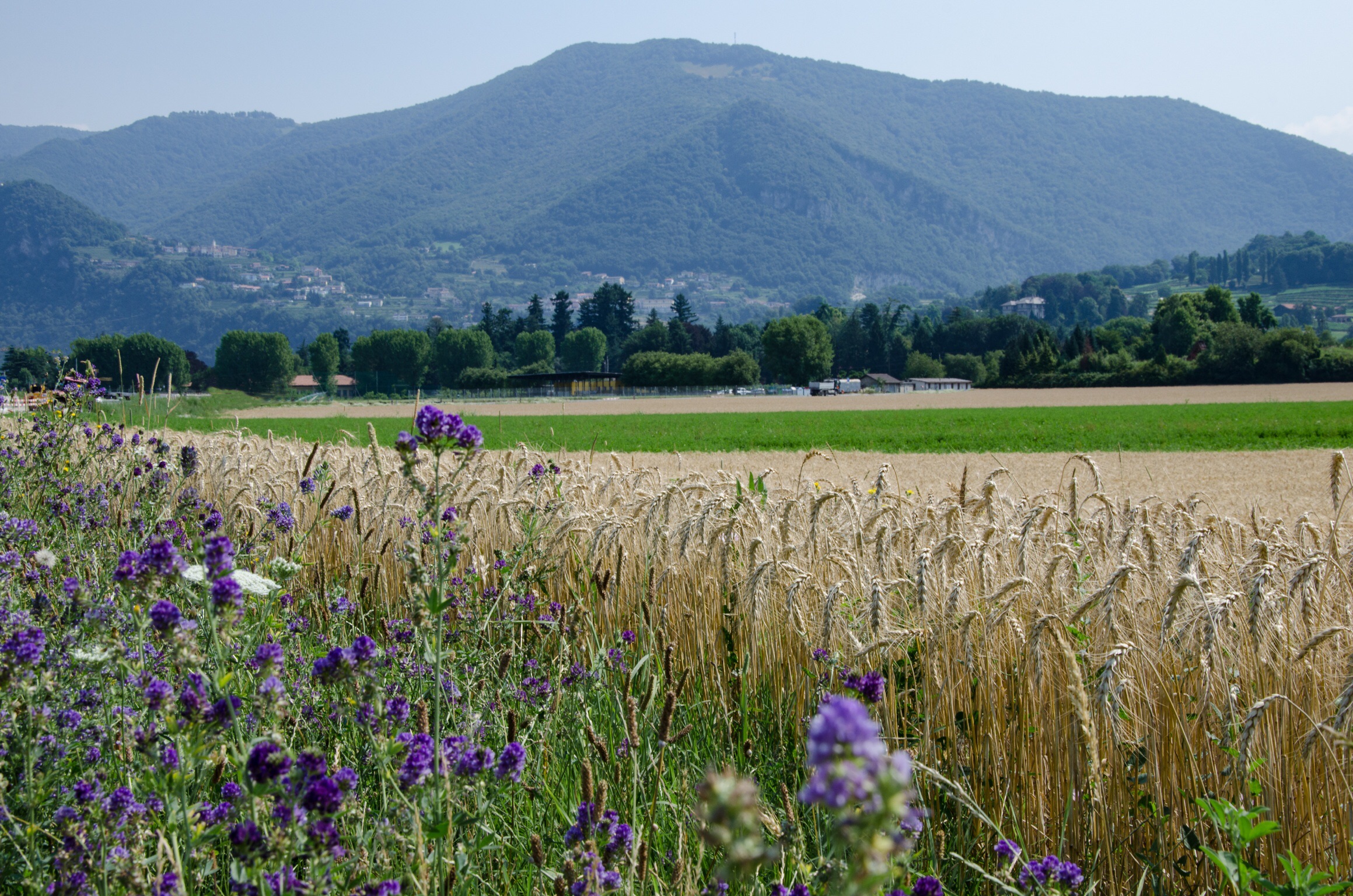 Genestrerio - Switzerland