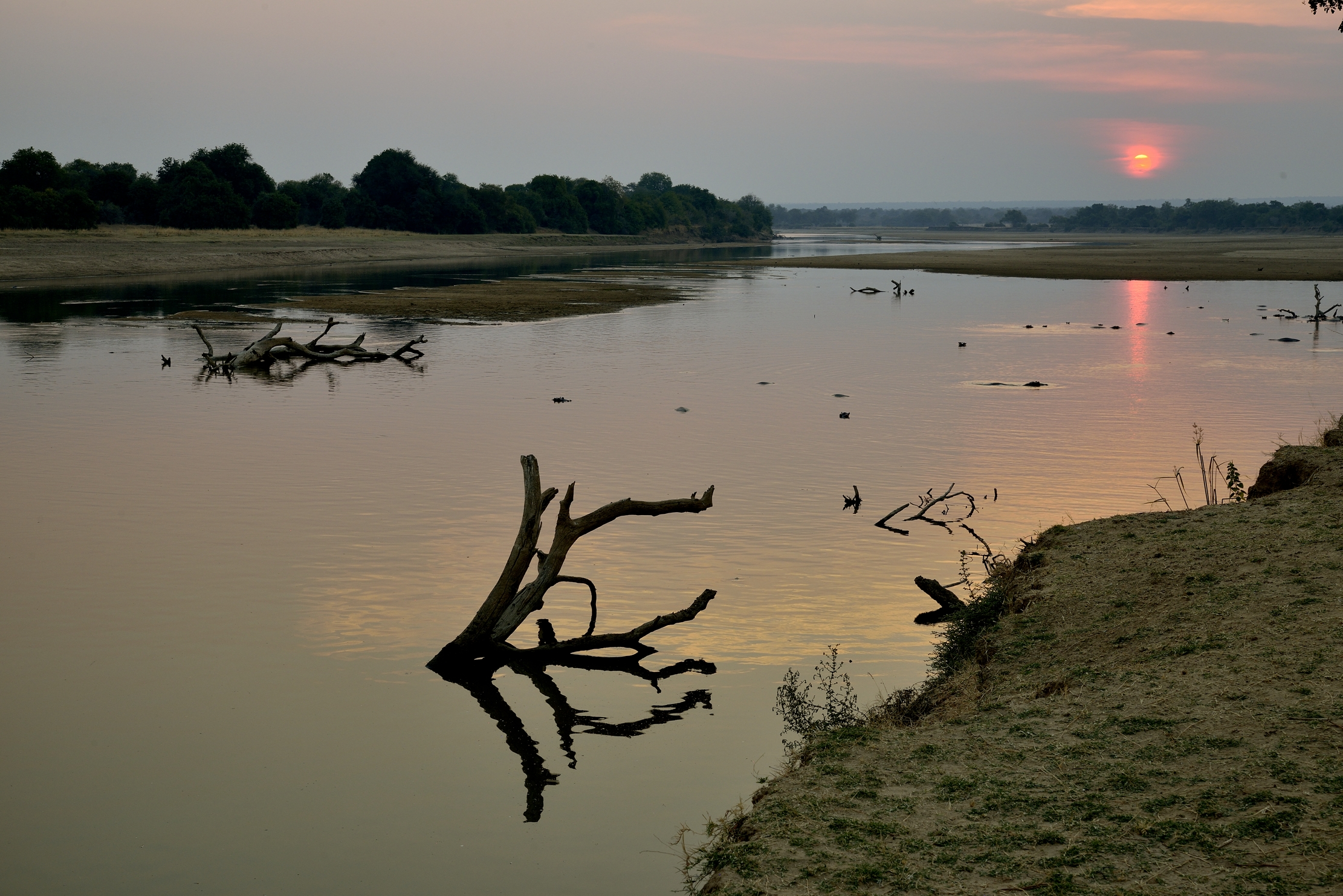Zimbabwe 2015 - Tramonto sullo Zambesi
