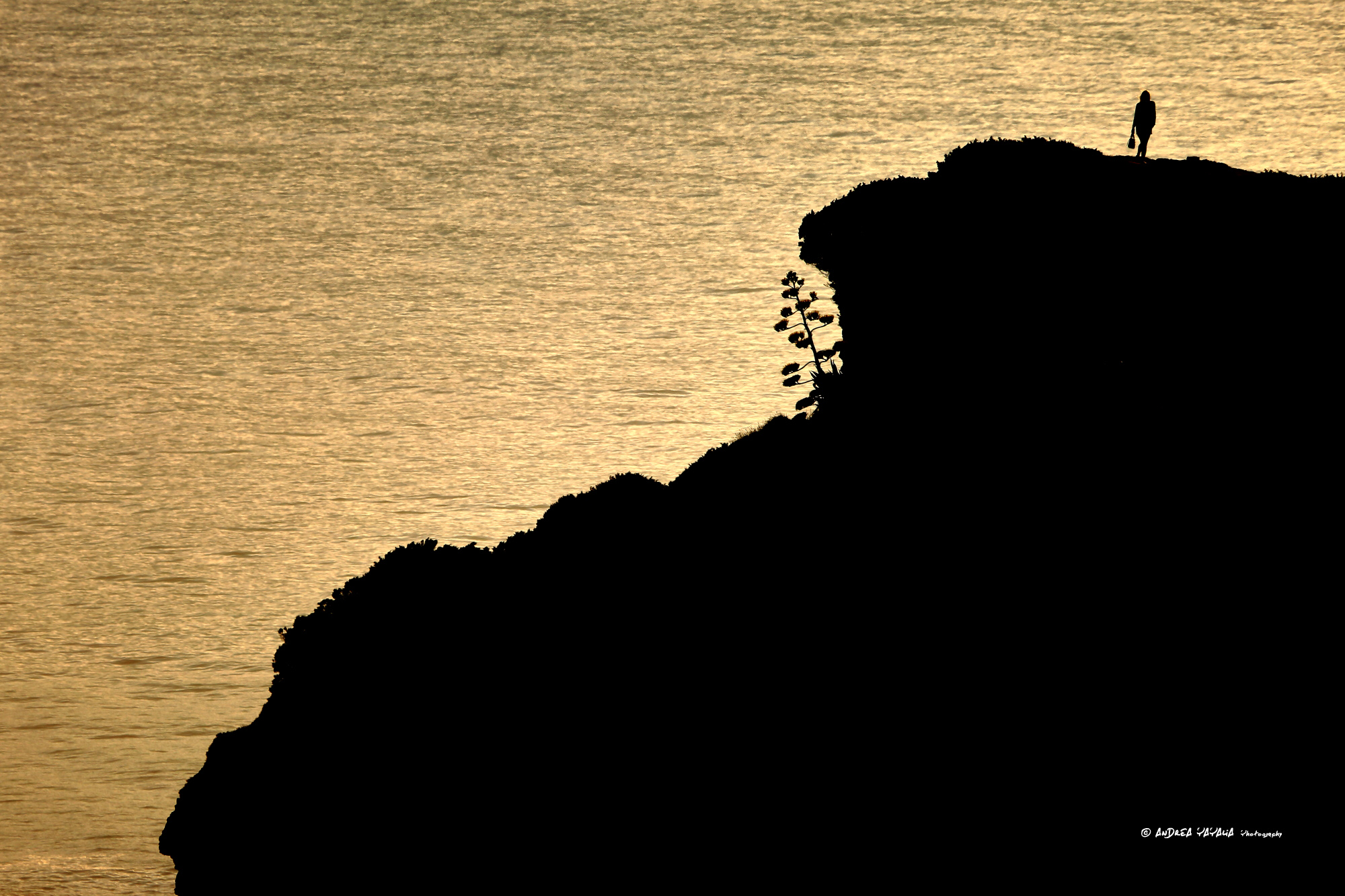 Ti troverei ..anche in capo al mondo