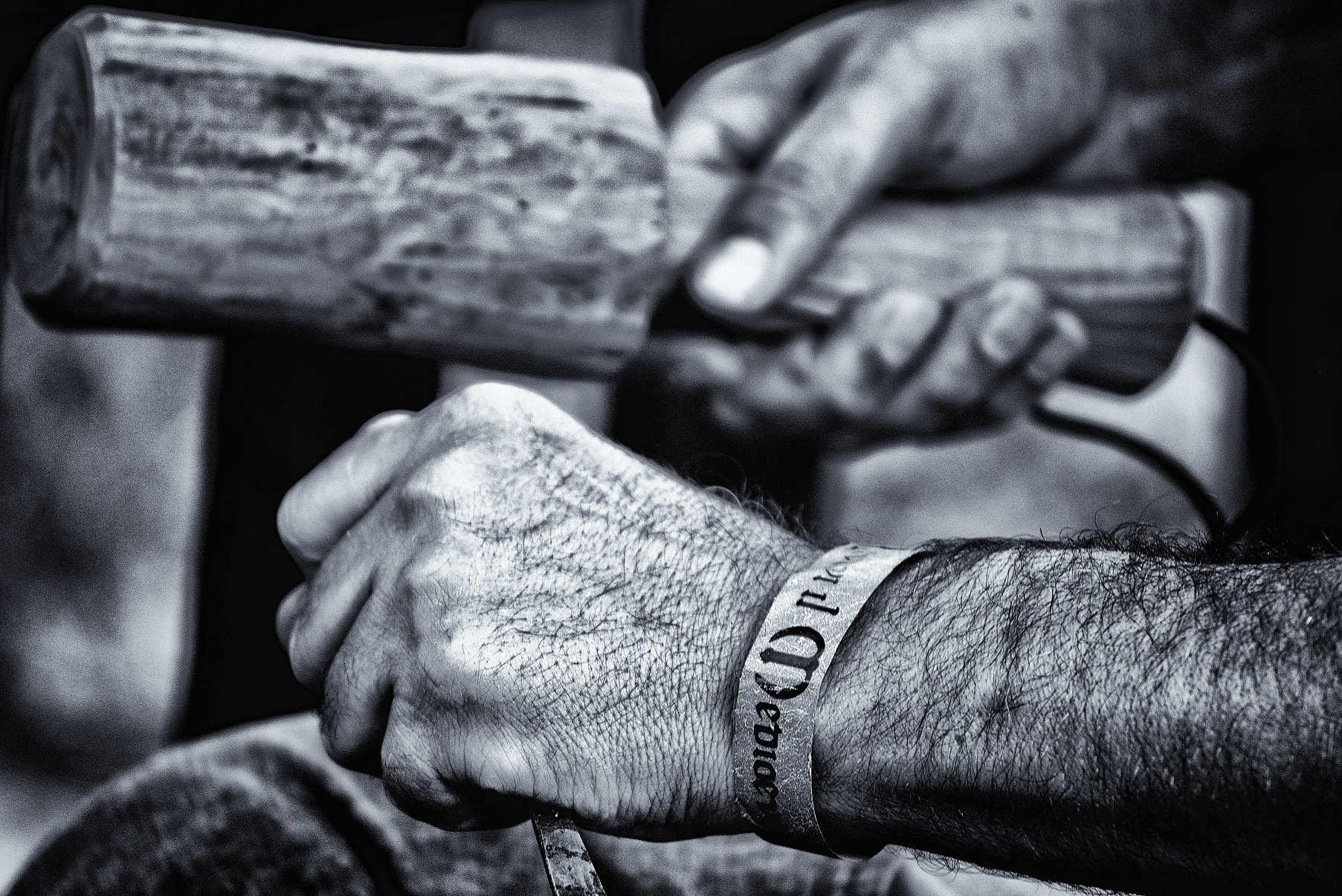 Relive the Middle Ages