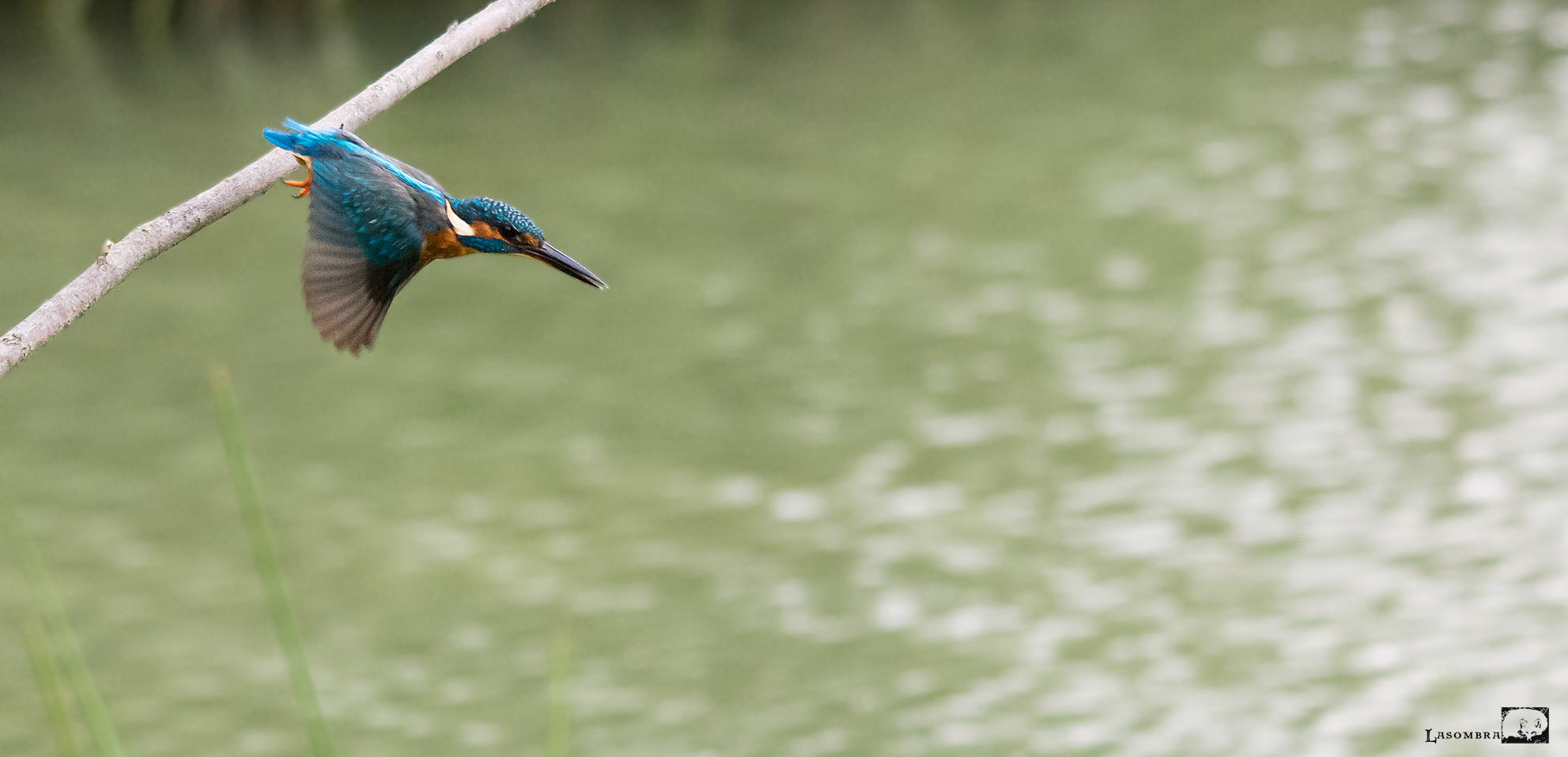 Martin Pescatore in partenza
