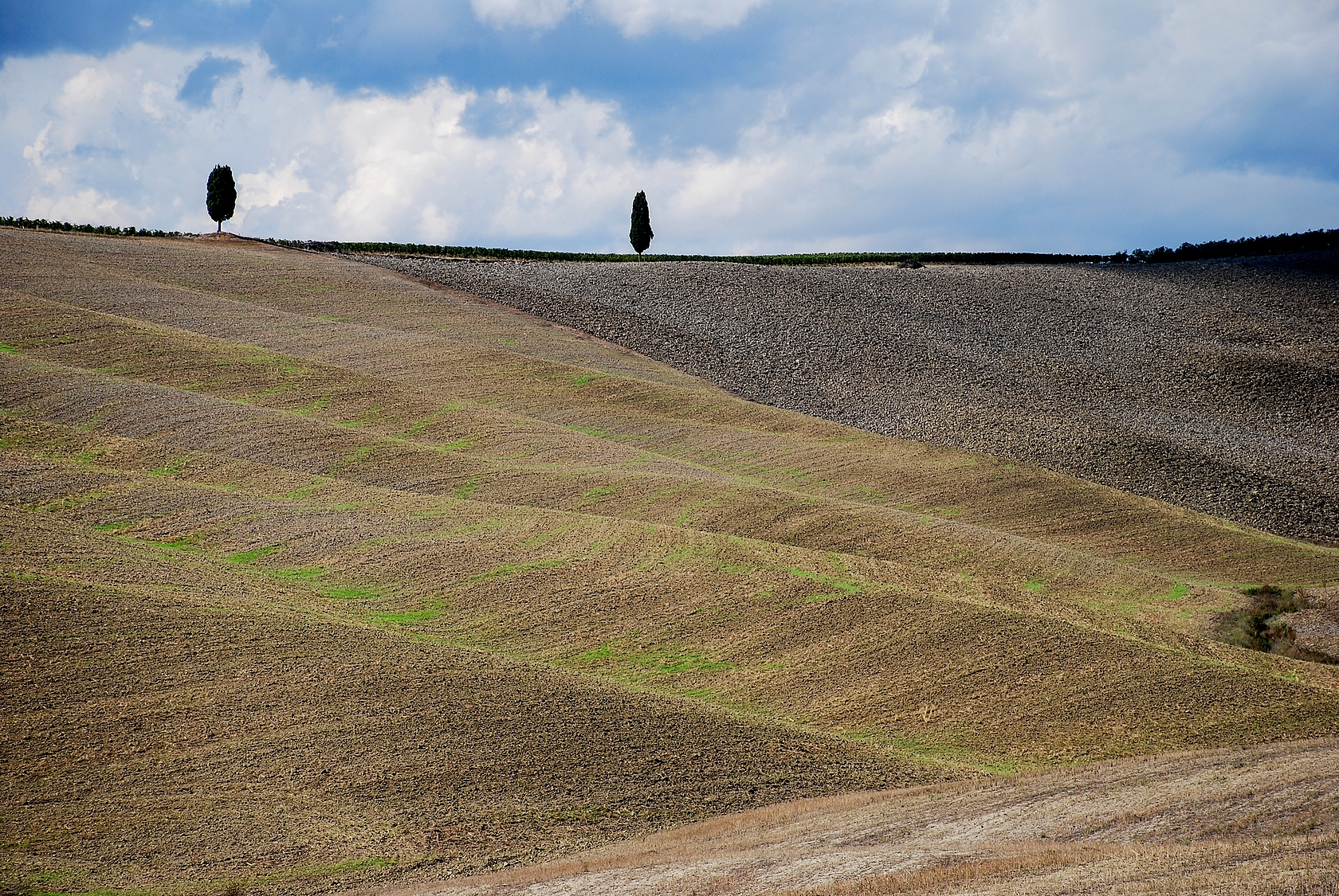 Landscape Val d'Orcia