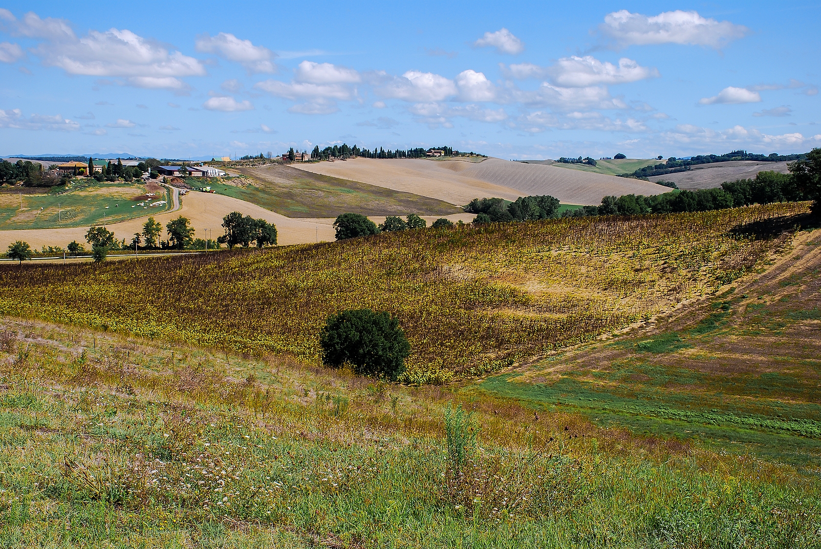 Val D'Orcia