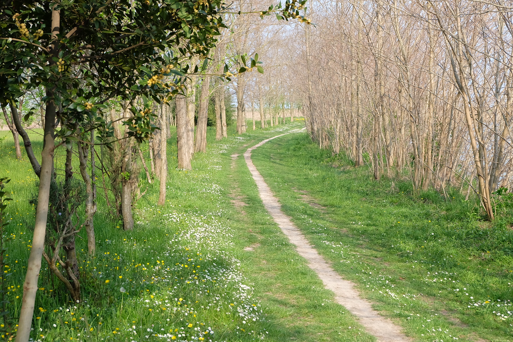 place somewhere in nowhere land