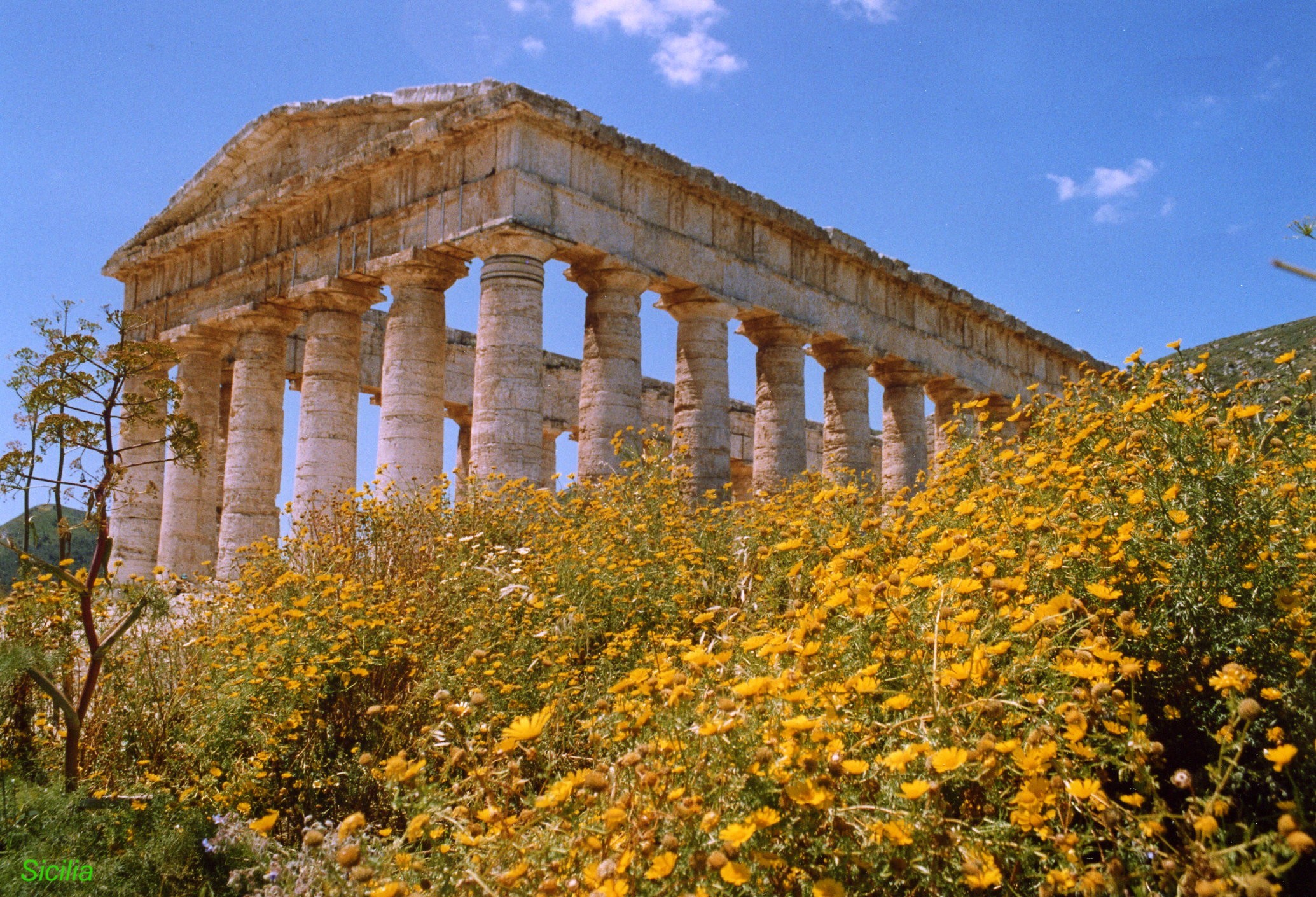 Spring in Segesta