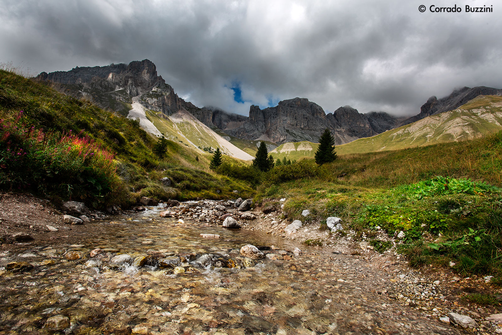 The creek at high altitude