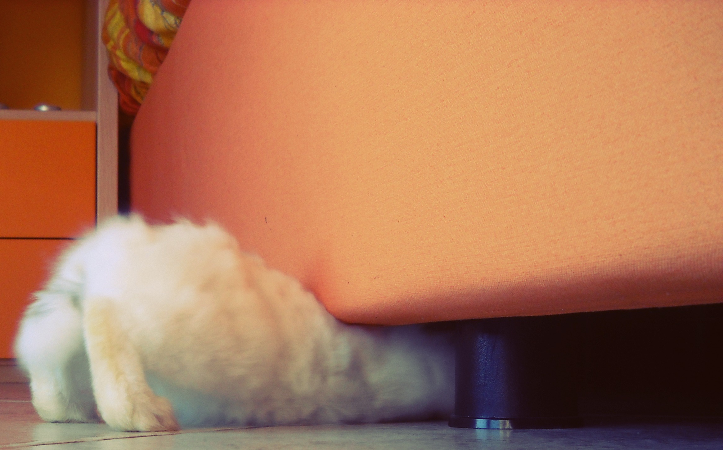 Let's play hide and seek?