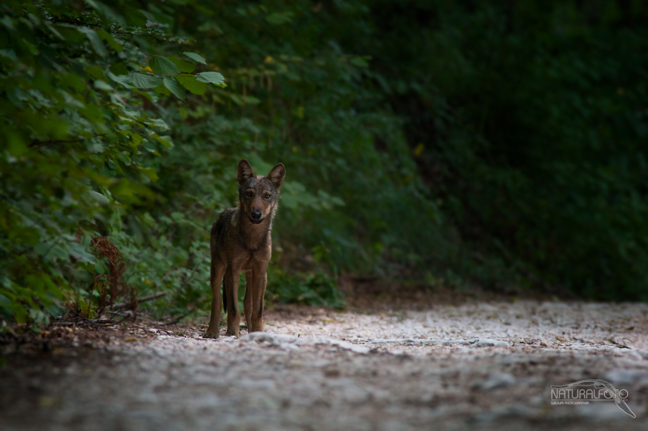 All the love that we put ...