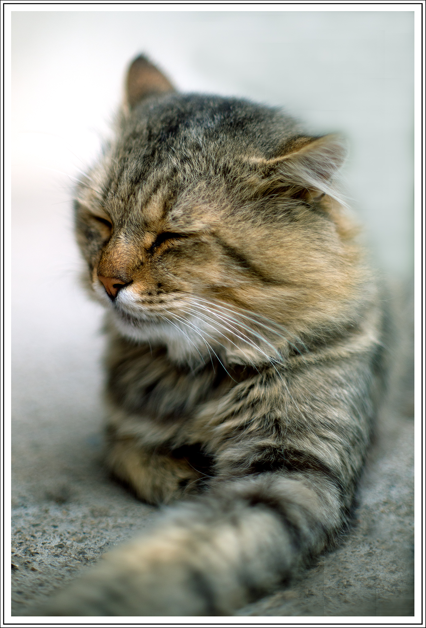 The rest of the warrior.