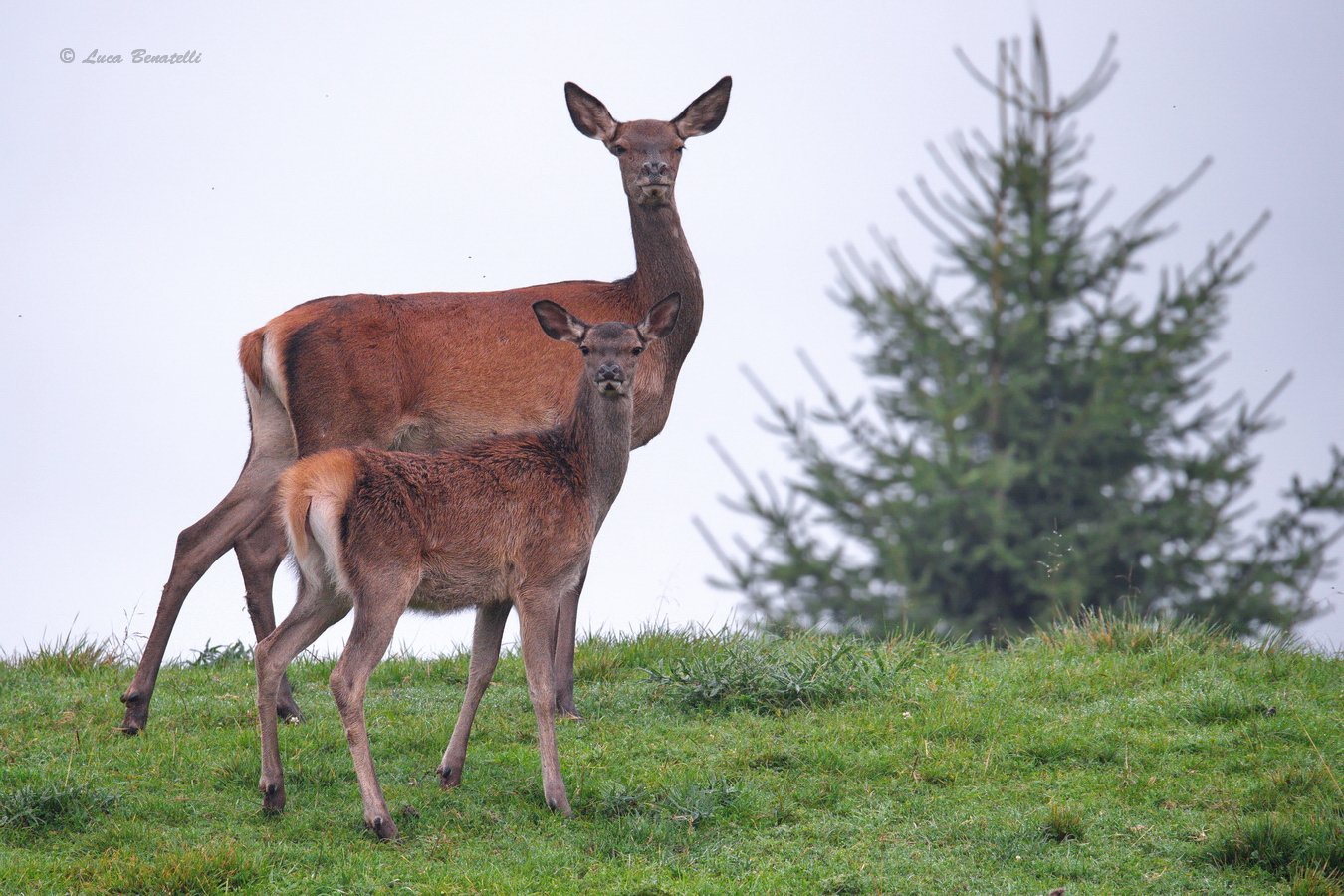 Tra le nuvole della piana.