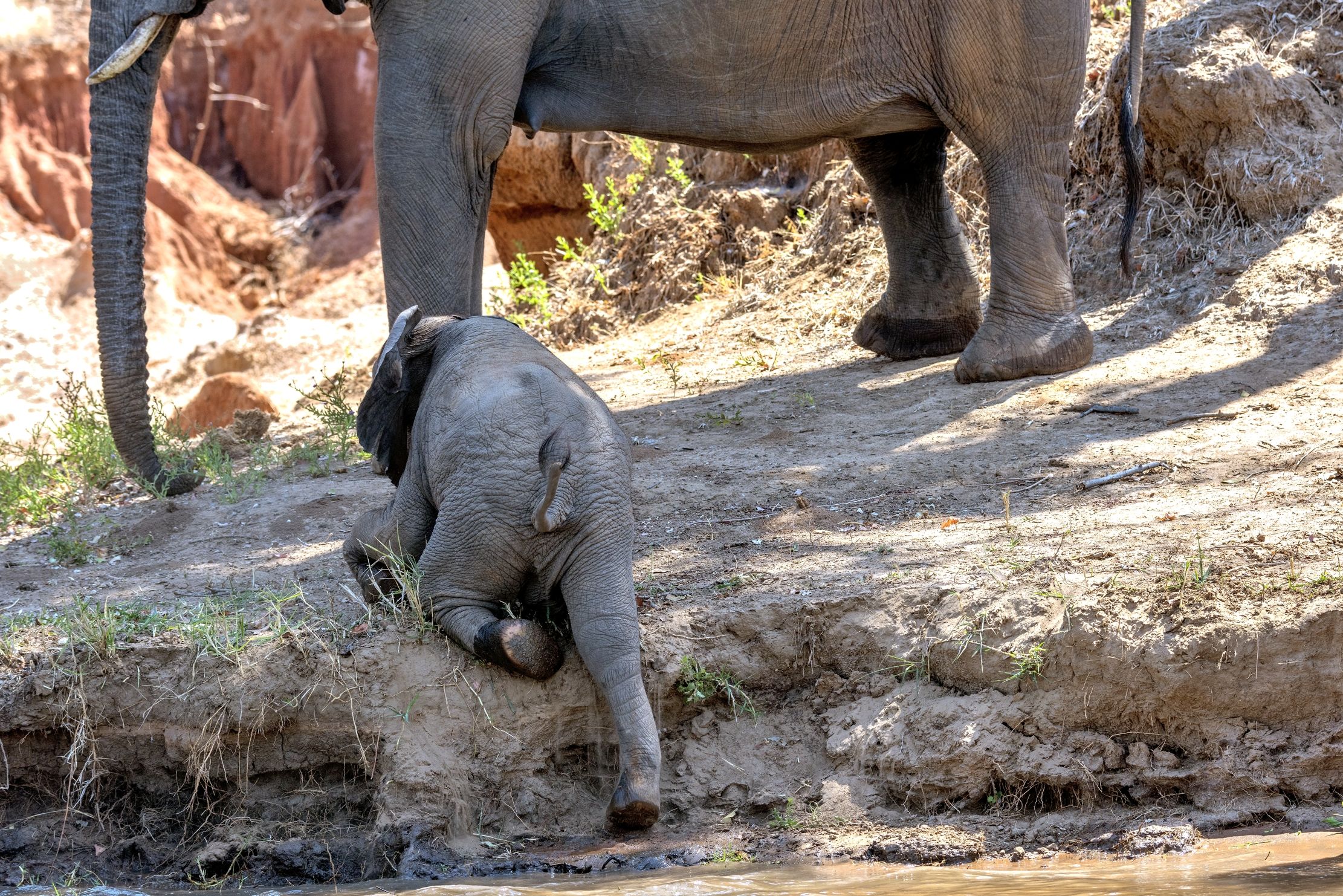 Zambia 2015 - Che fatica!!
