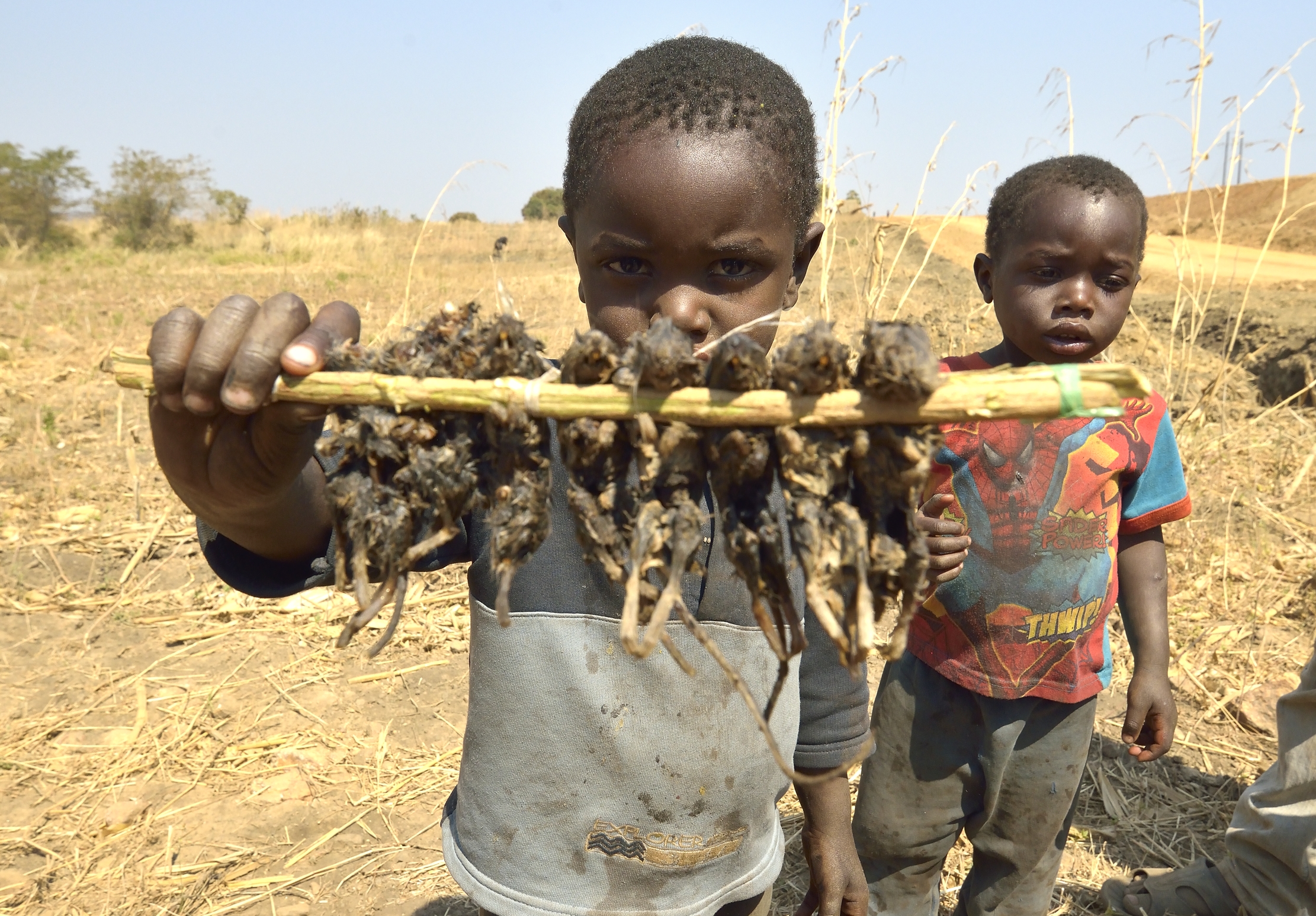 Zambia 2015 - Vuoi assaggiare?