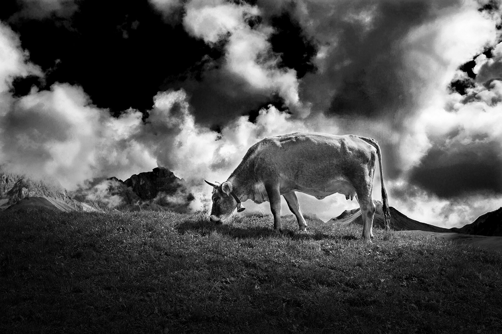Grazing at high altitude