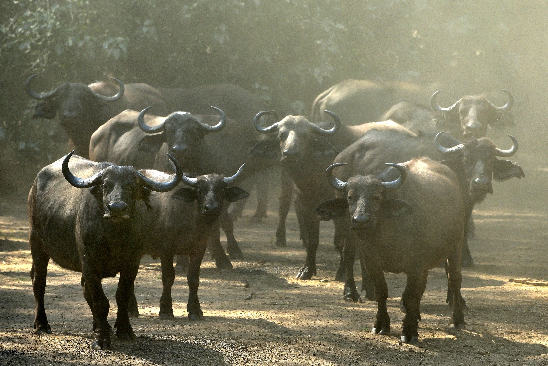 Zambia 2015 - Nella polvere