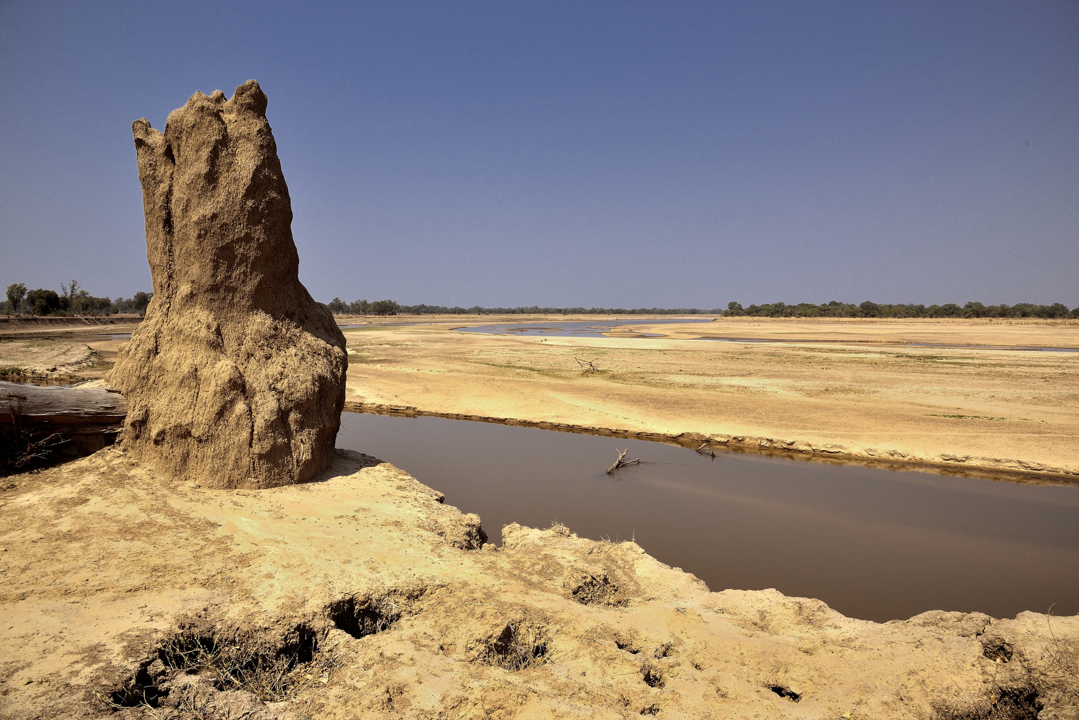 Zambia 2015 - Sul Luangwa