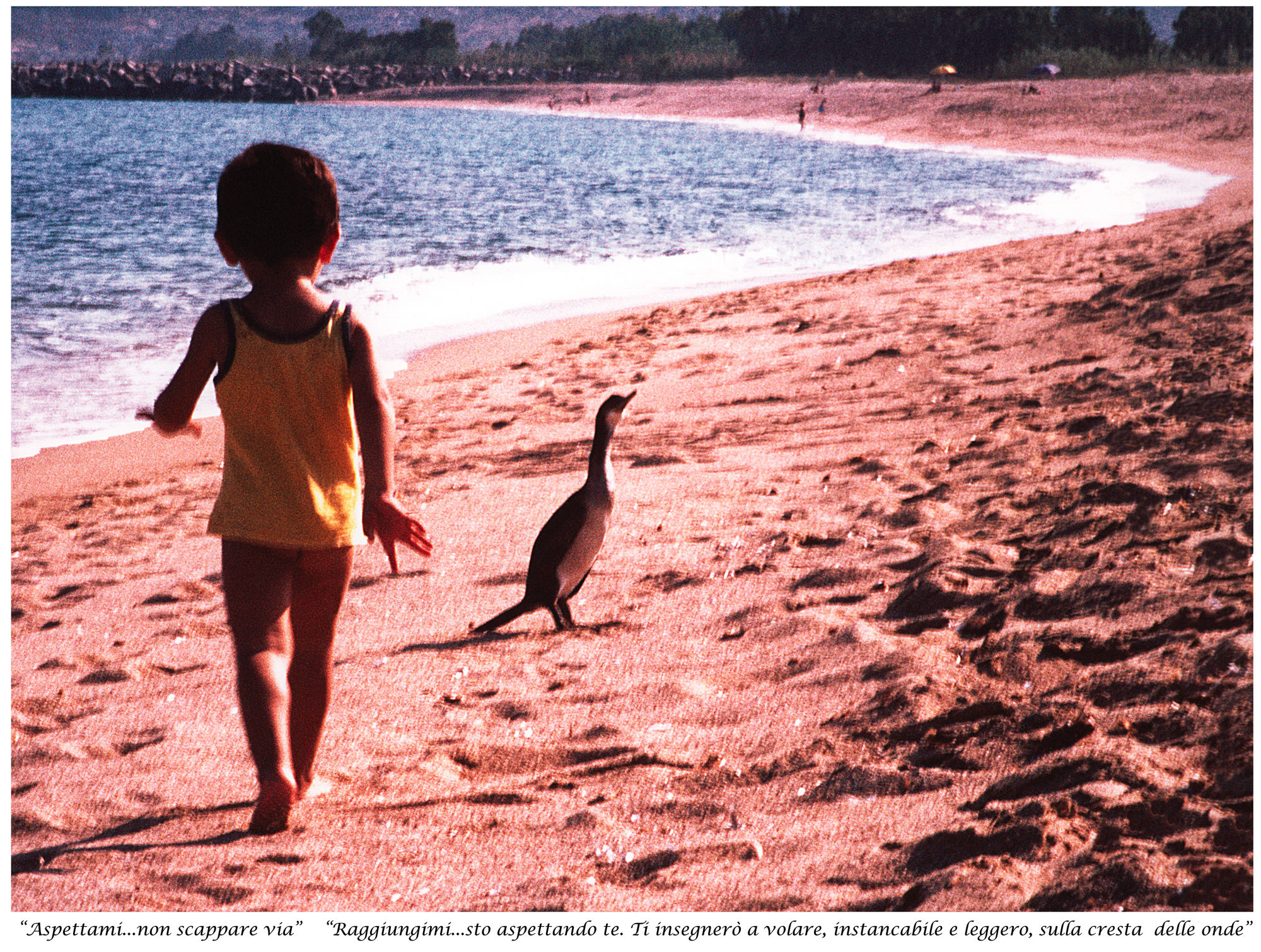 Meeting on the beach