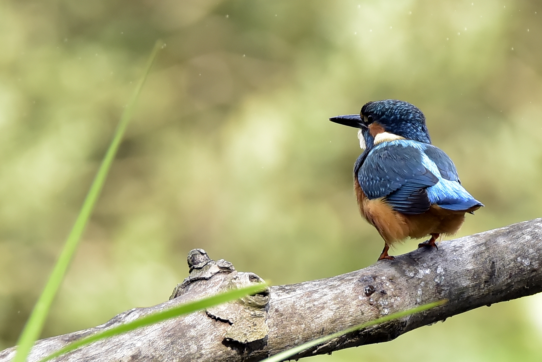 non ti voglio vedere