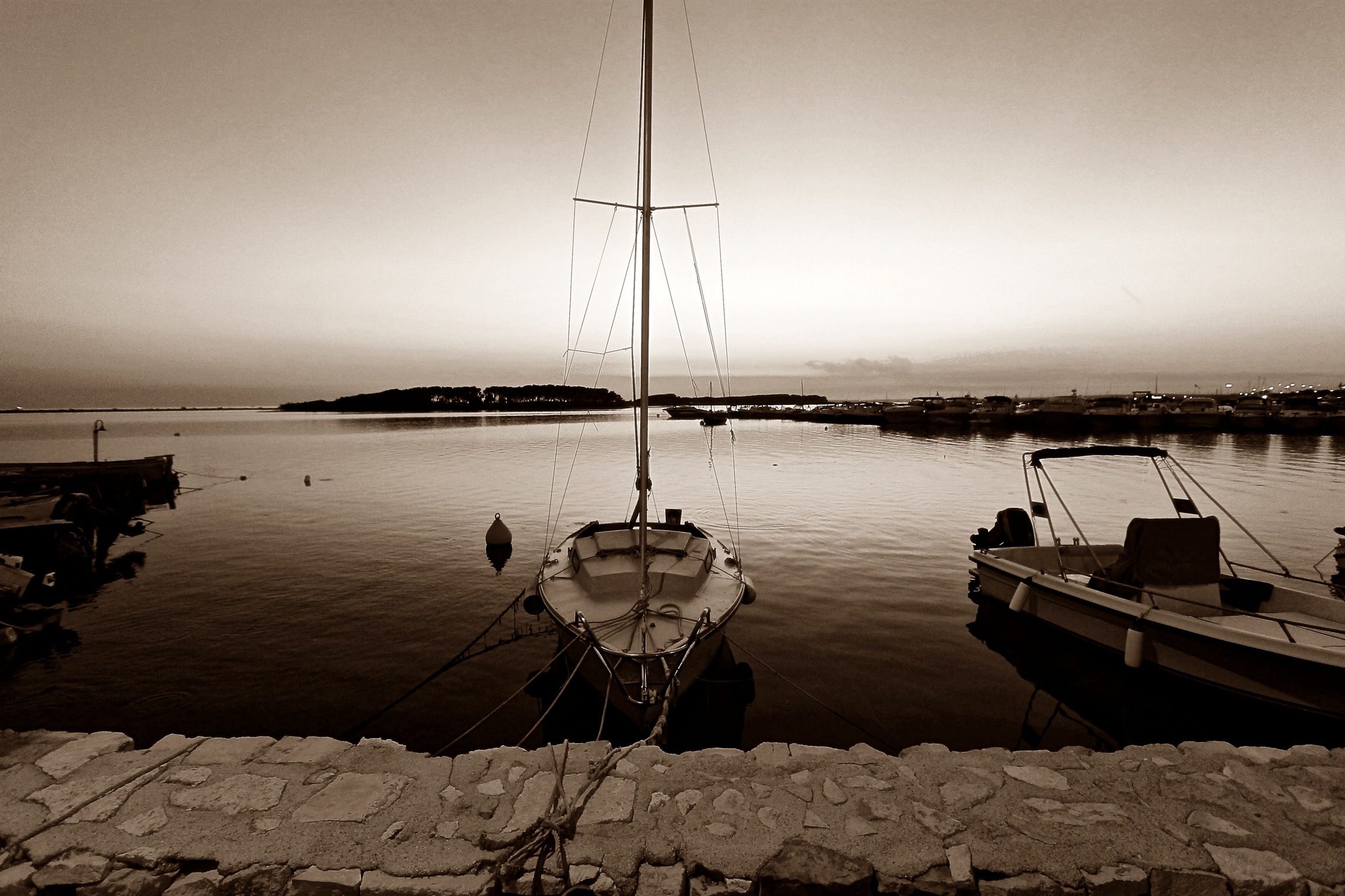 Before the eyes even the sun