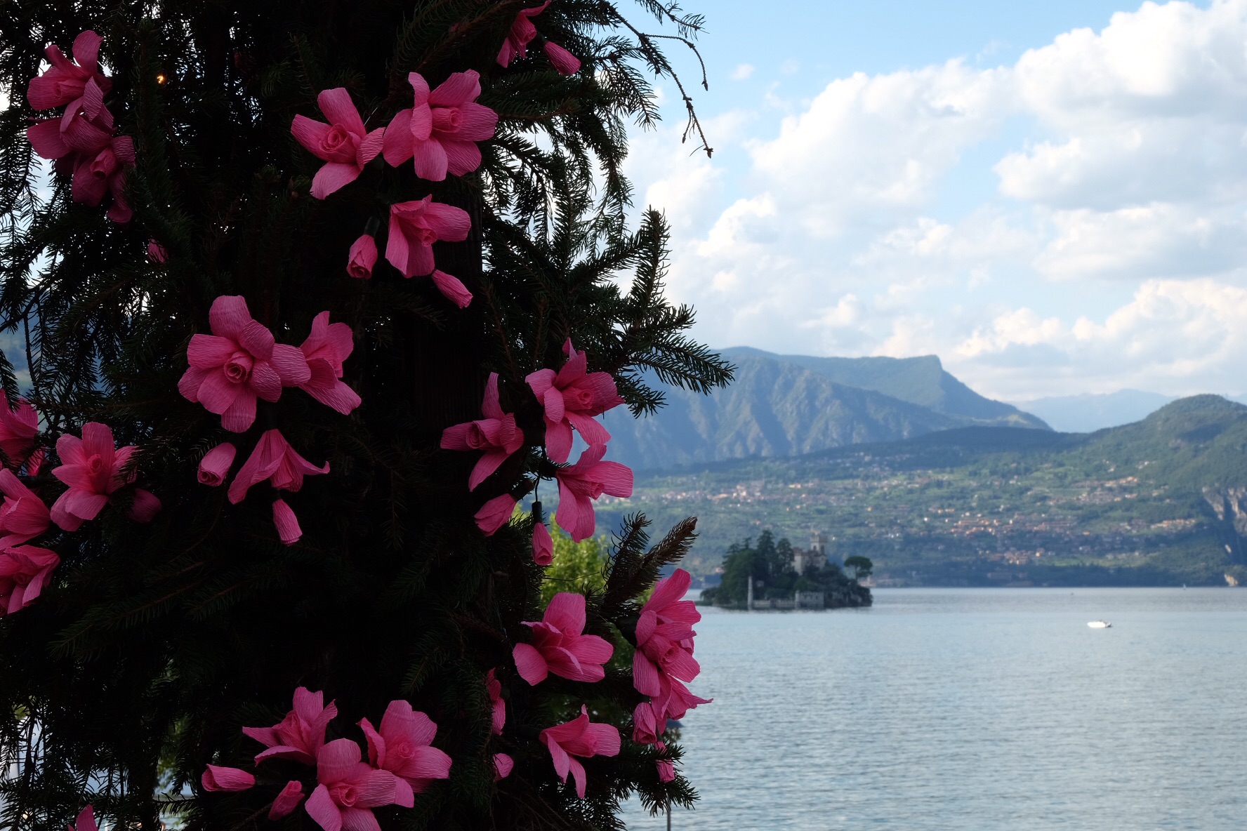 Festa Fiori Montisola