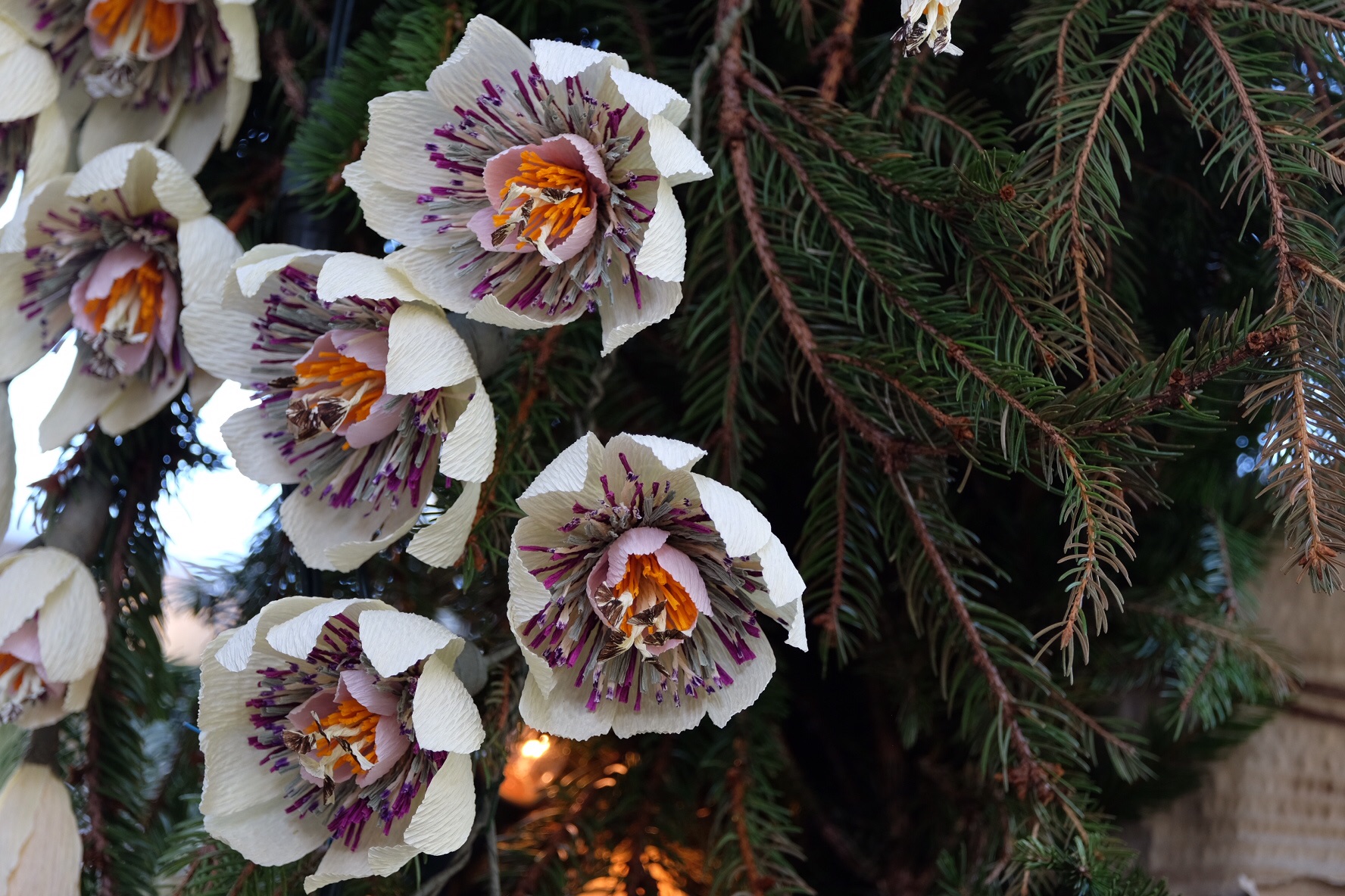 Festa Fiori Montisola