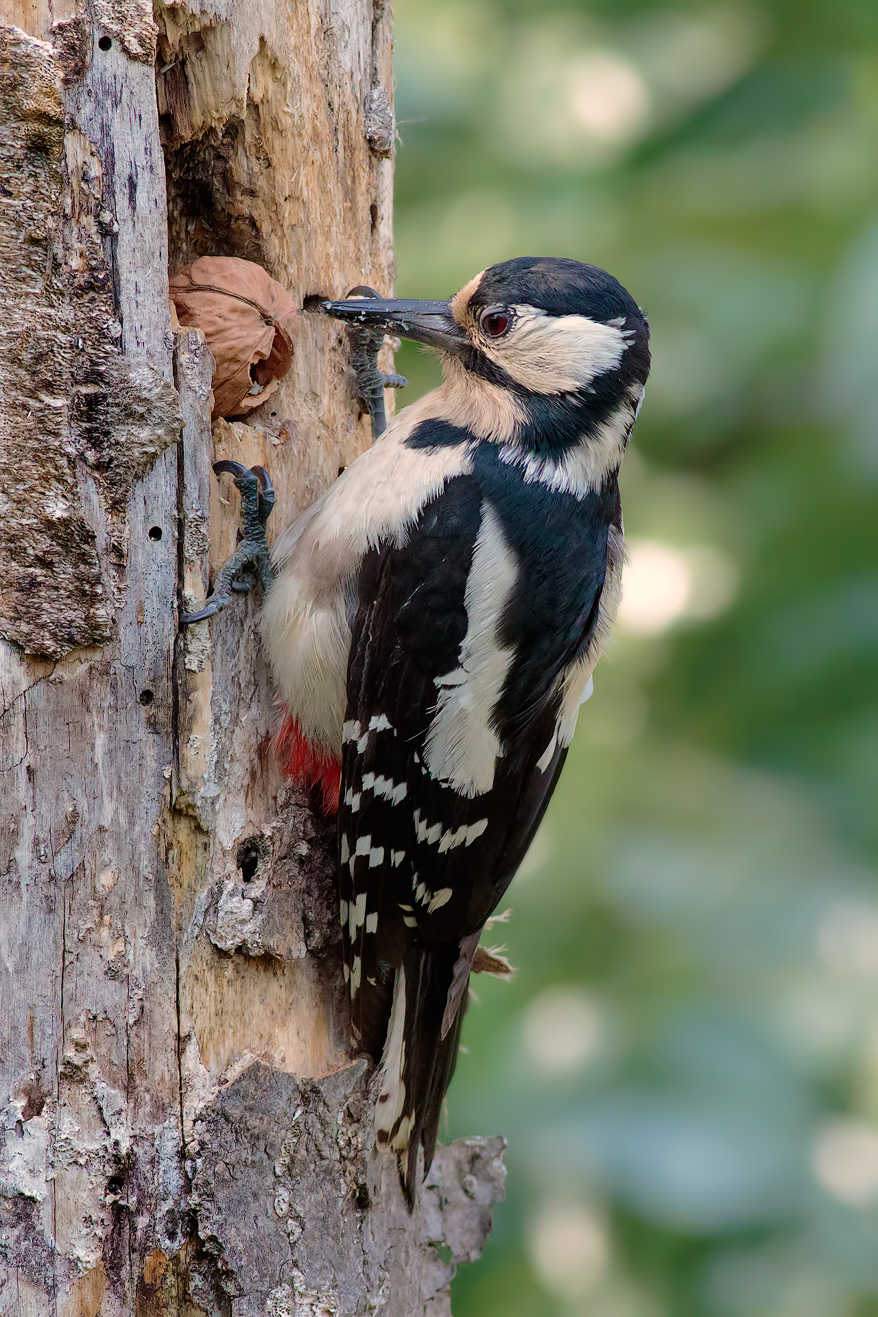 God willing ..... he arrived ... !!!