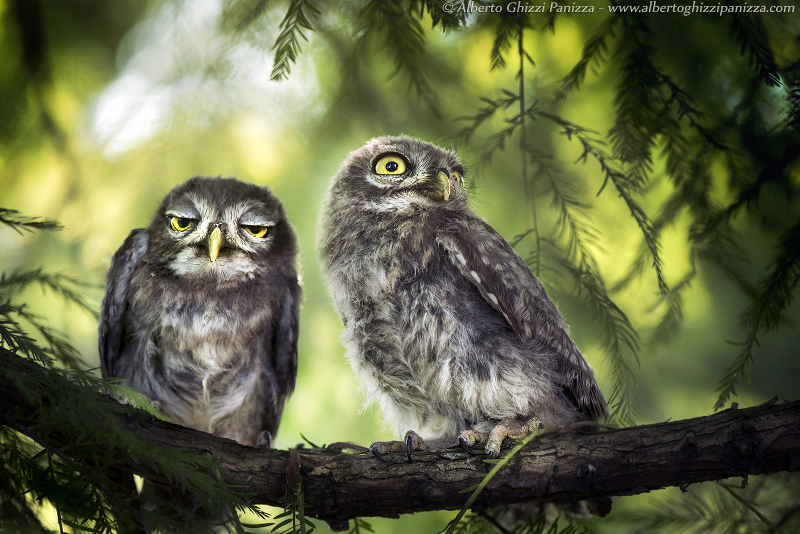 This does not consider me just ...