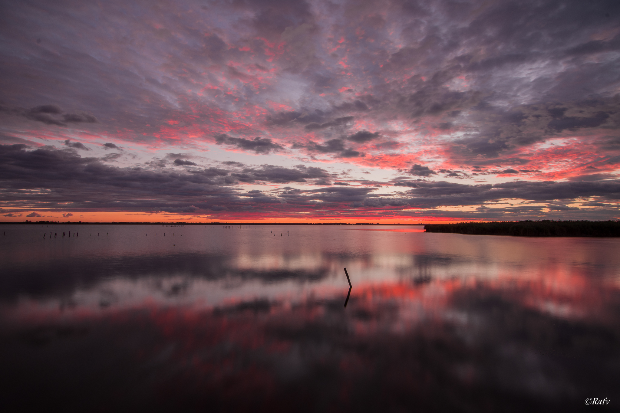 Oasis Massaciuccoli (lu)