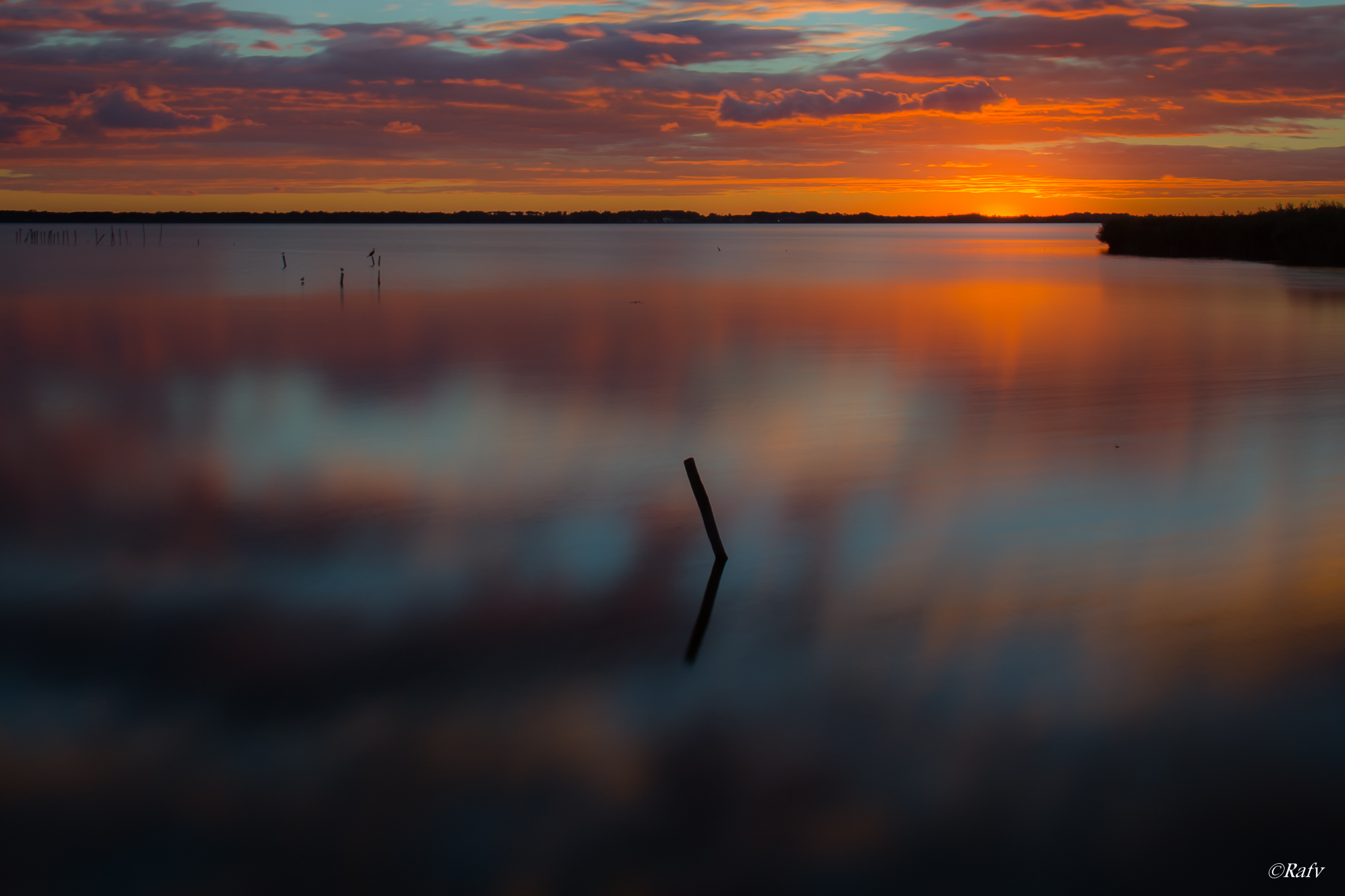 Sunset Massaciuccoli Lake