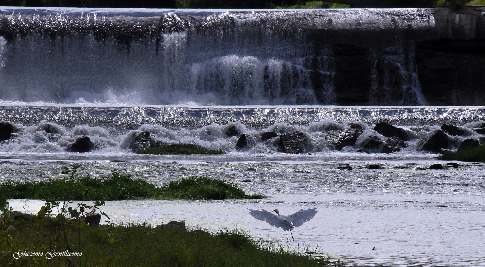 la pescaia delle "Cascine" a Firenze