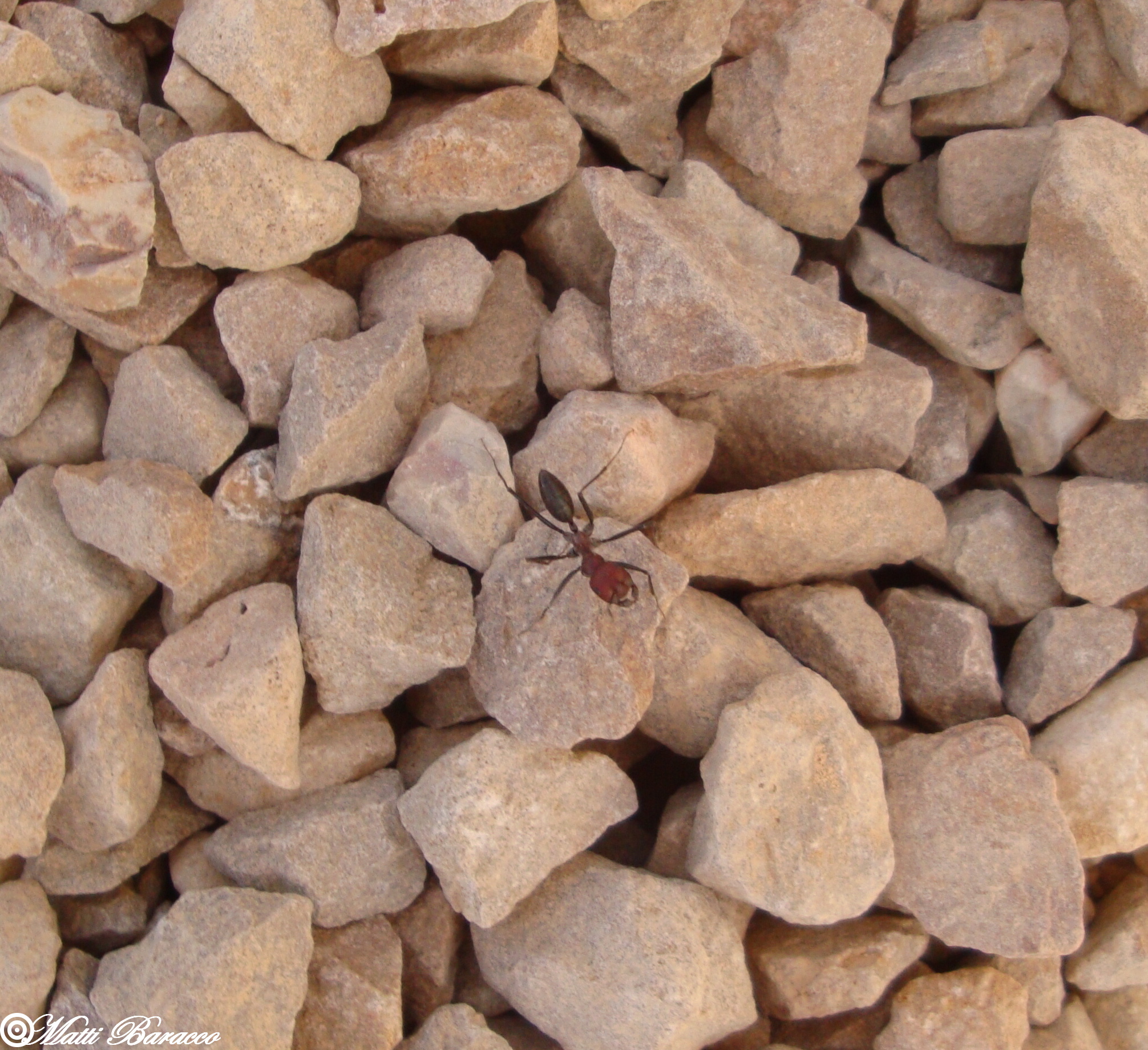 In the mountains of Matmata Berber area.