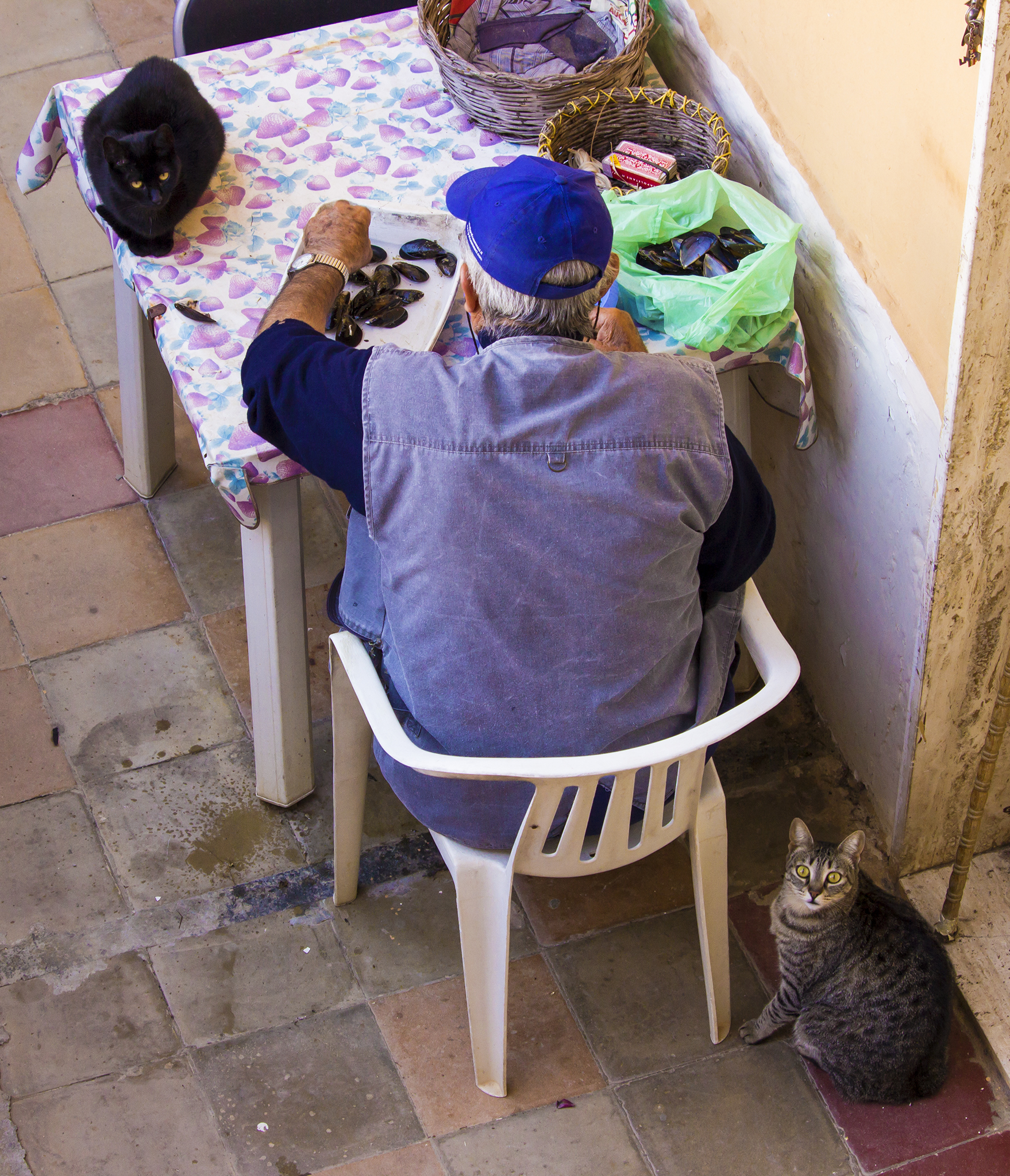Il pranzo è servito