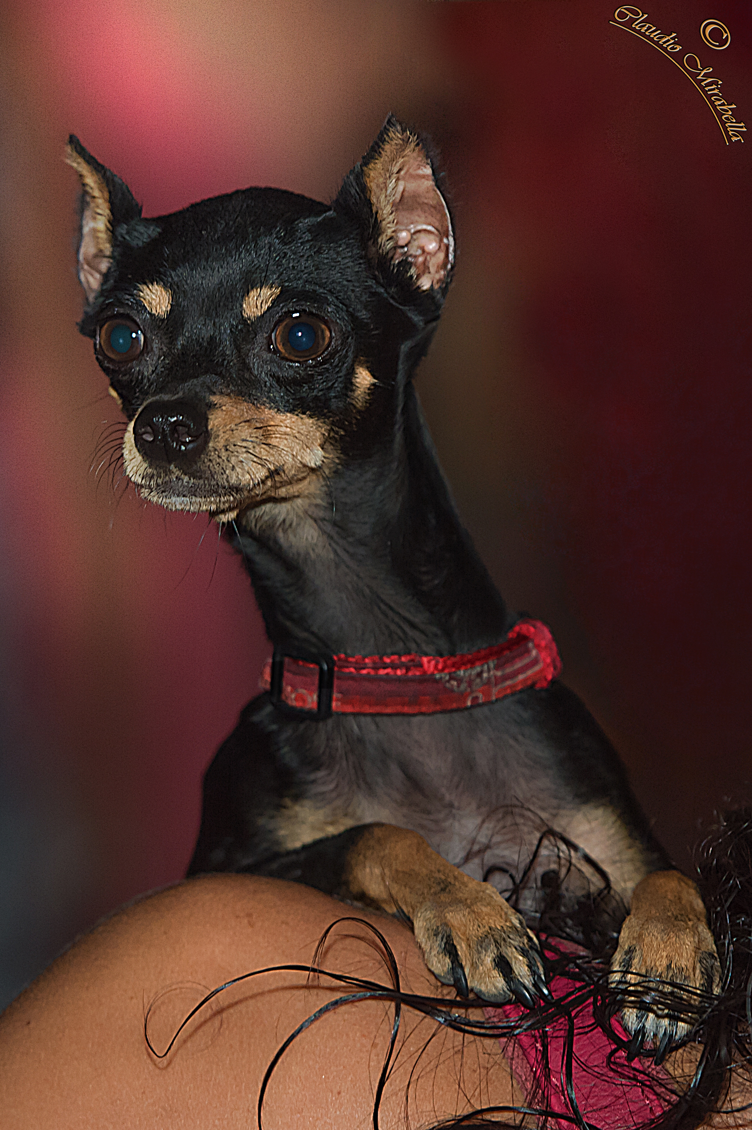 ... non credo ai miei occhi!!!