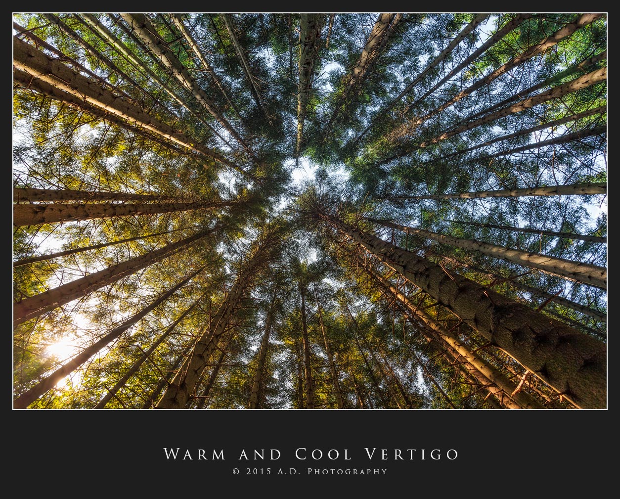 Warm and Cool Vertigo