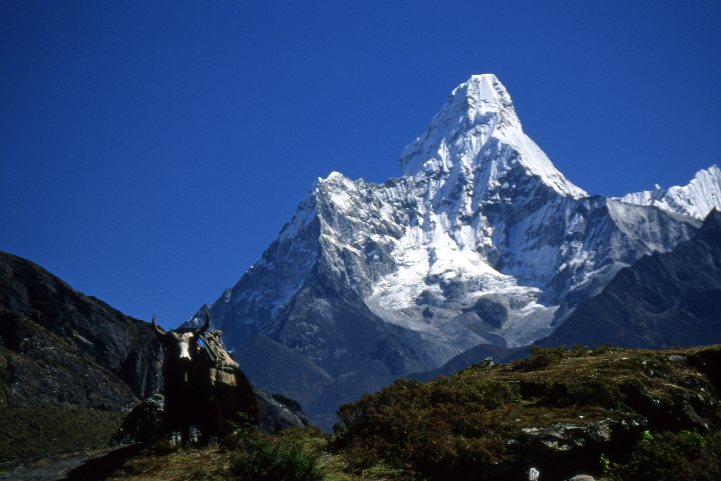 Ama Dablam