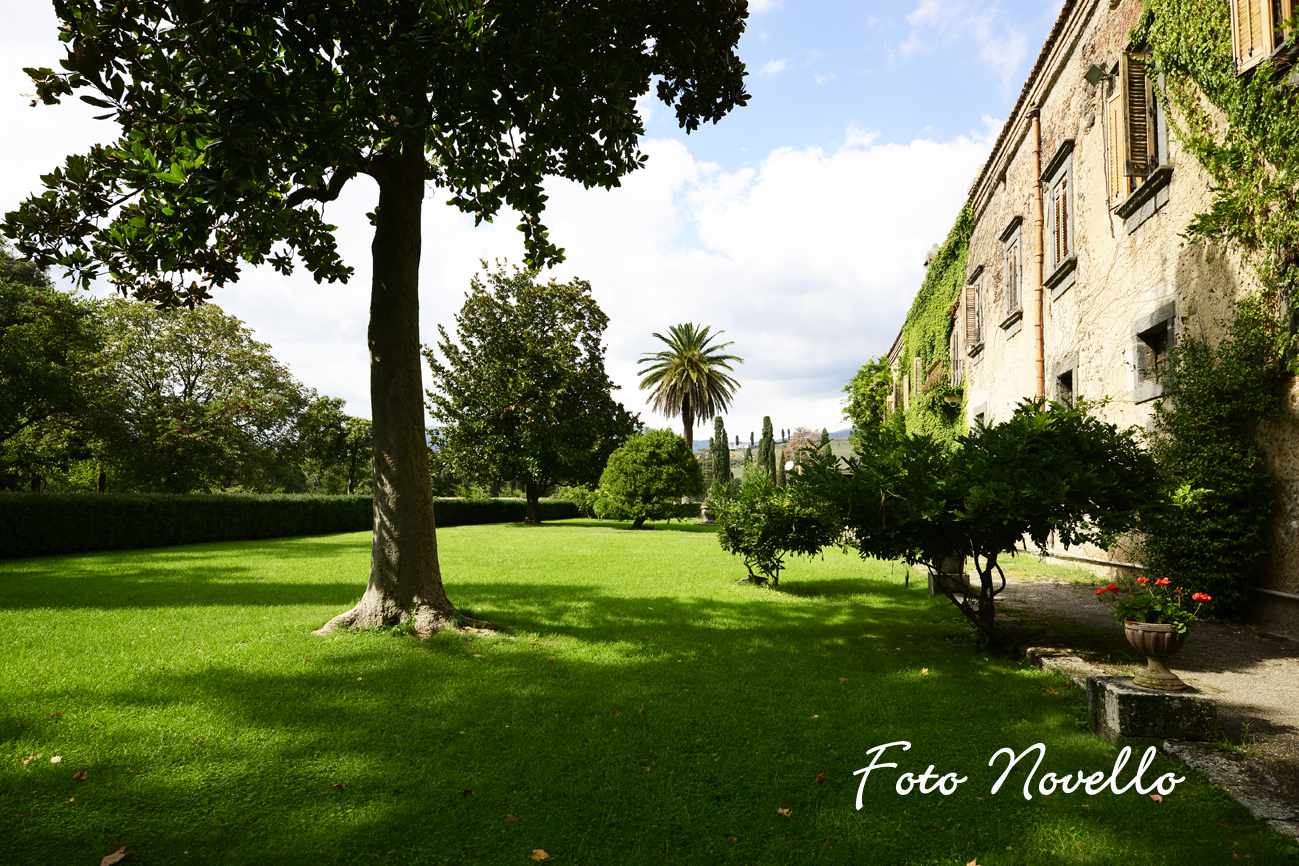 Giardino con prato verde.