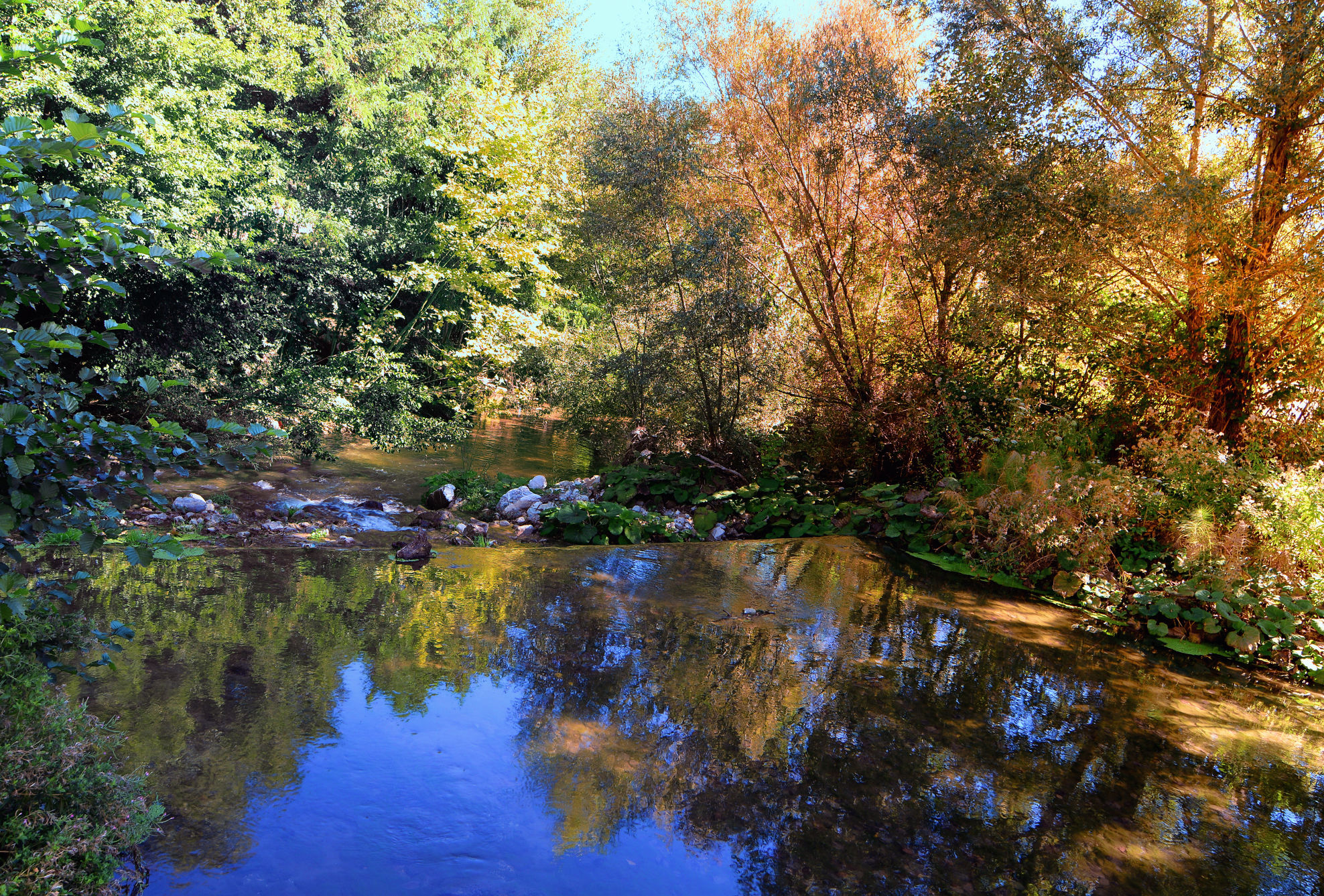 Along the river and on the water