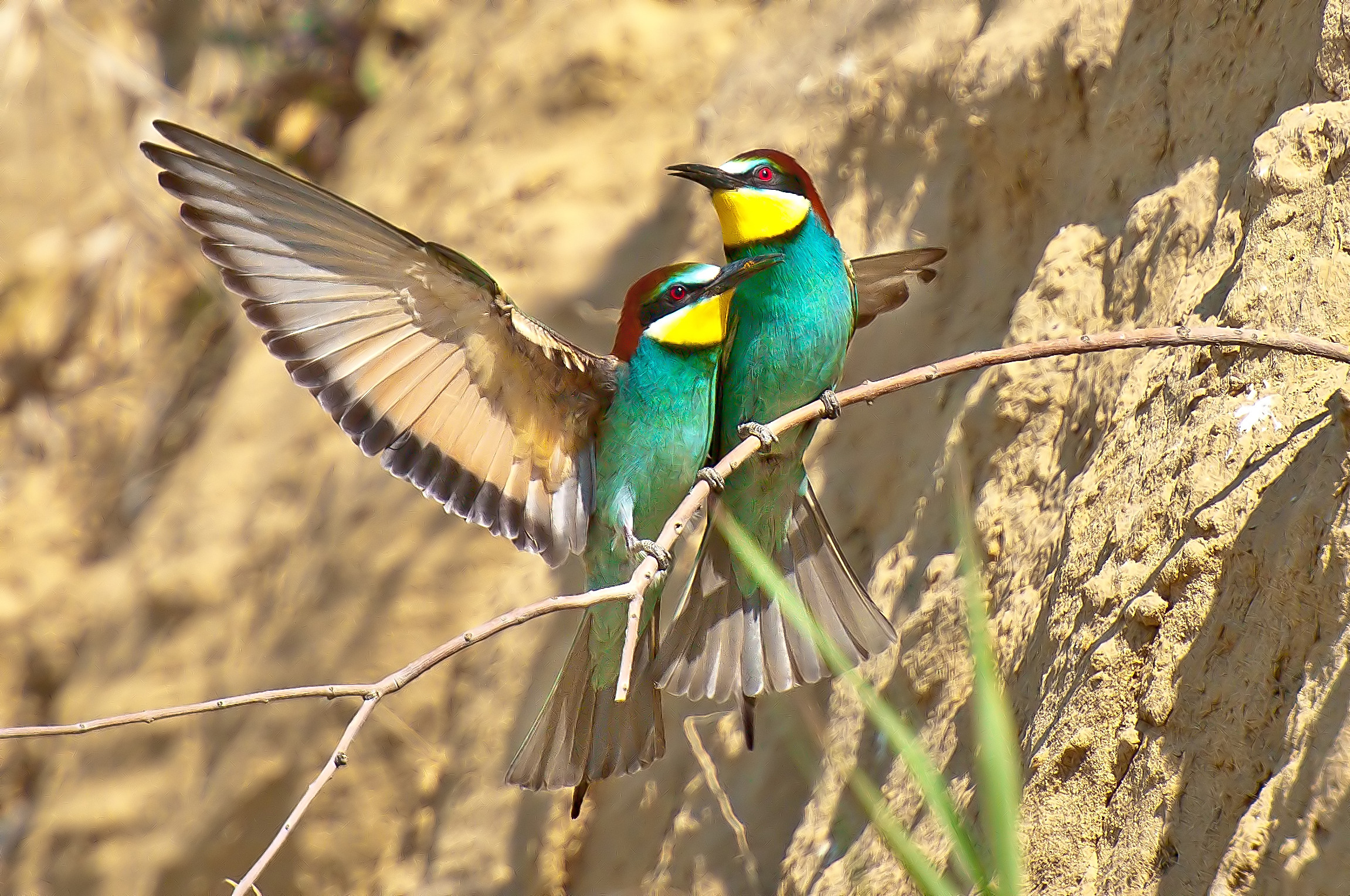 vicini...vicini......