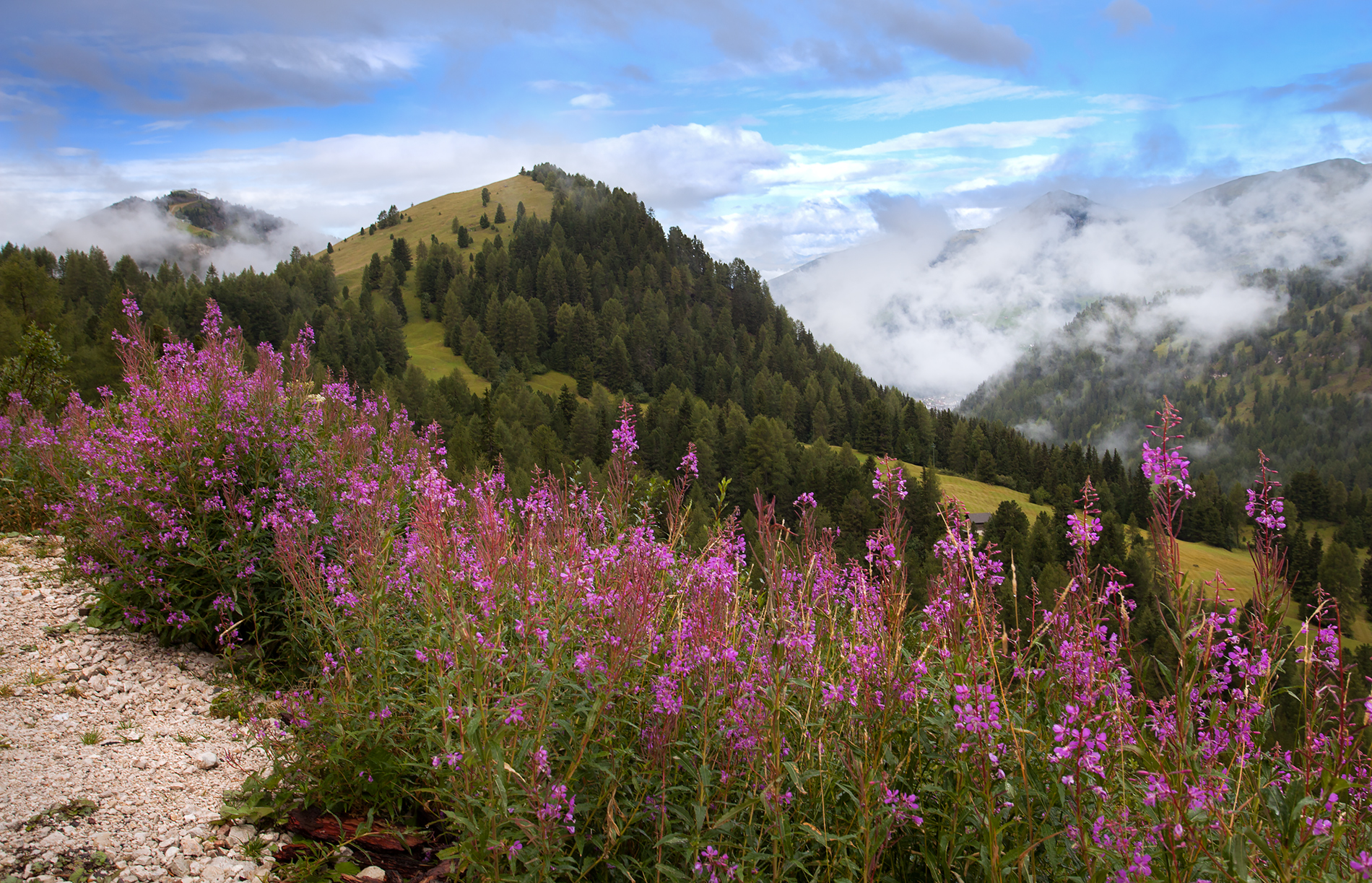 Haze over the valley